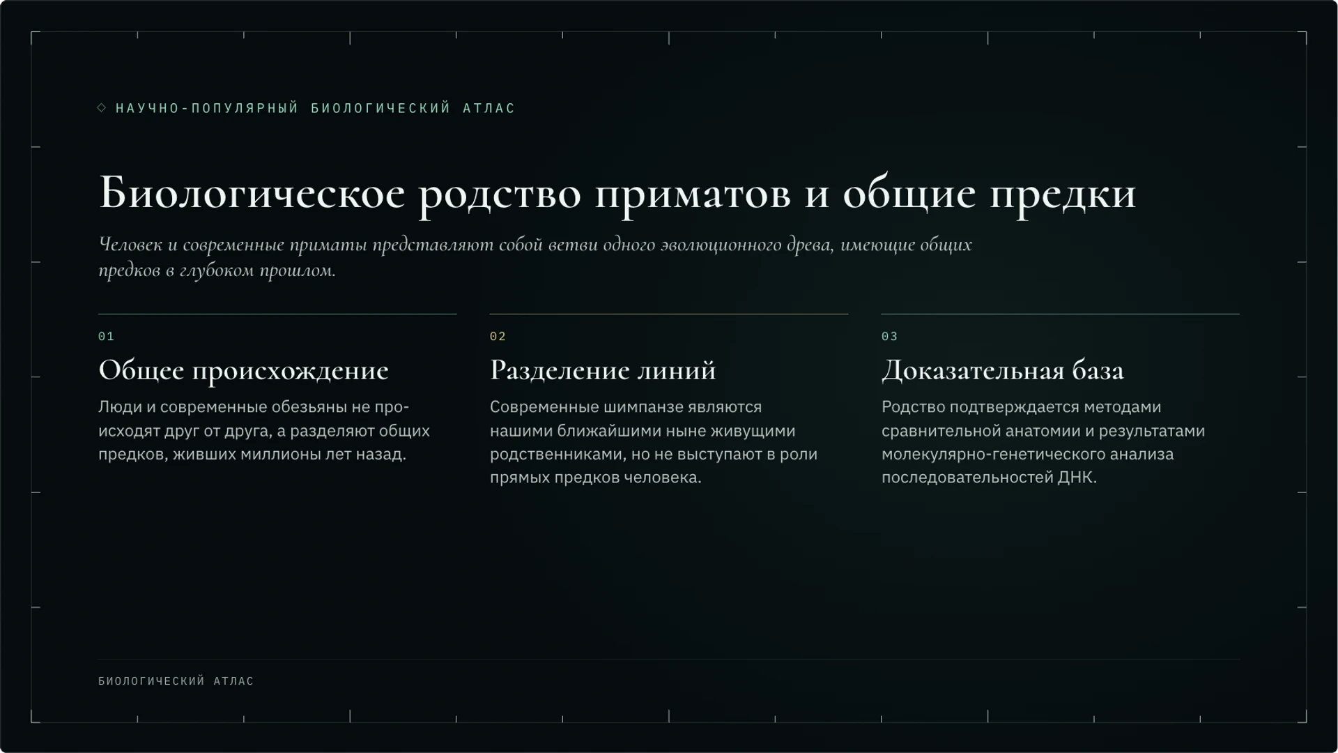Слайд 2 «Биологическое родство приматов и общие предки» из презентации «Антропогенез: происхождение человека и научные данные».
