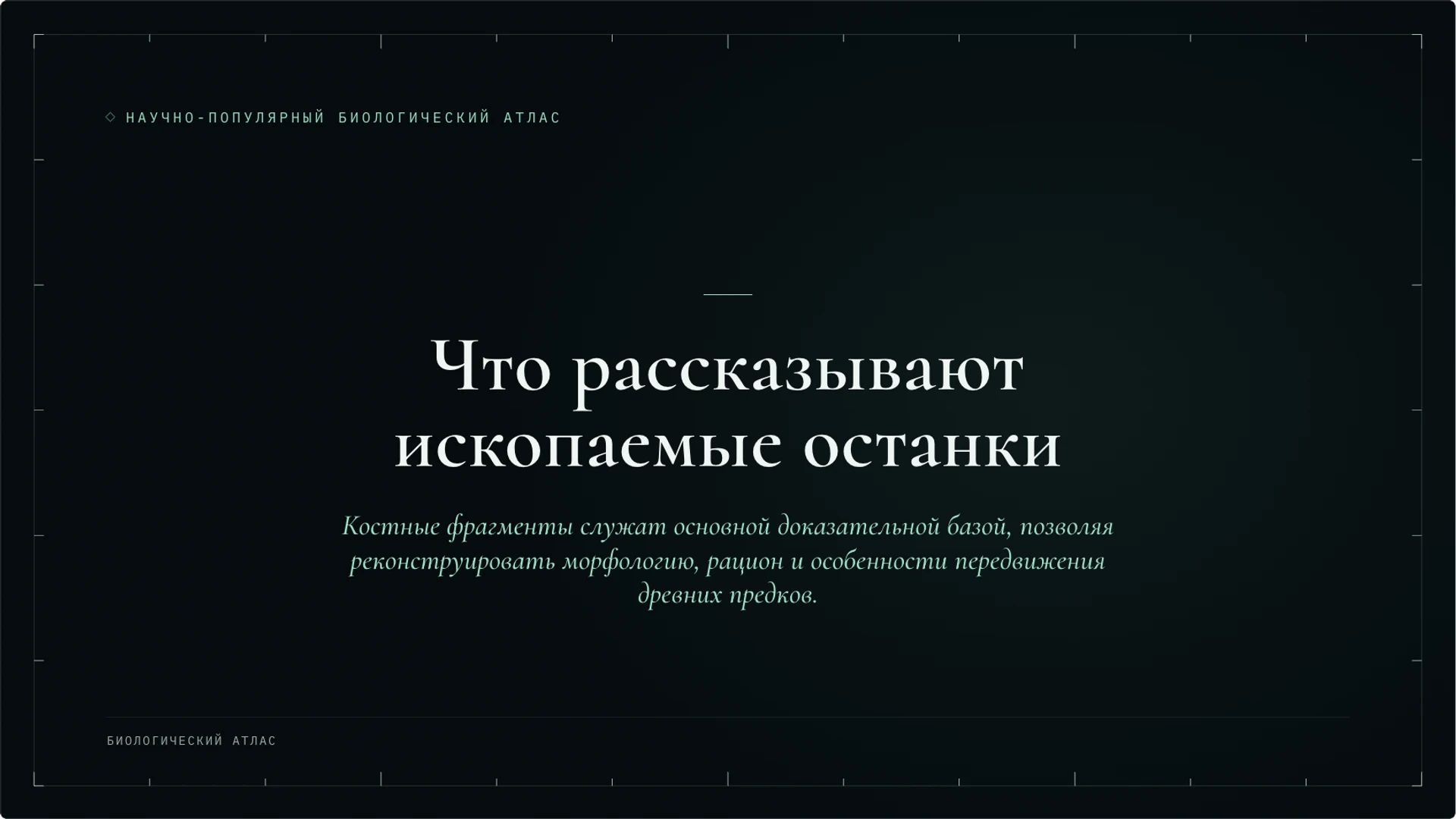 Слайд 5 «Что рассказывают ископаемые останки» из презентации «Антропогенез: происхождение человека и научные данные».