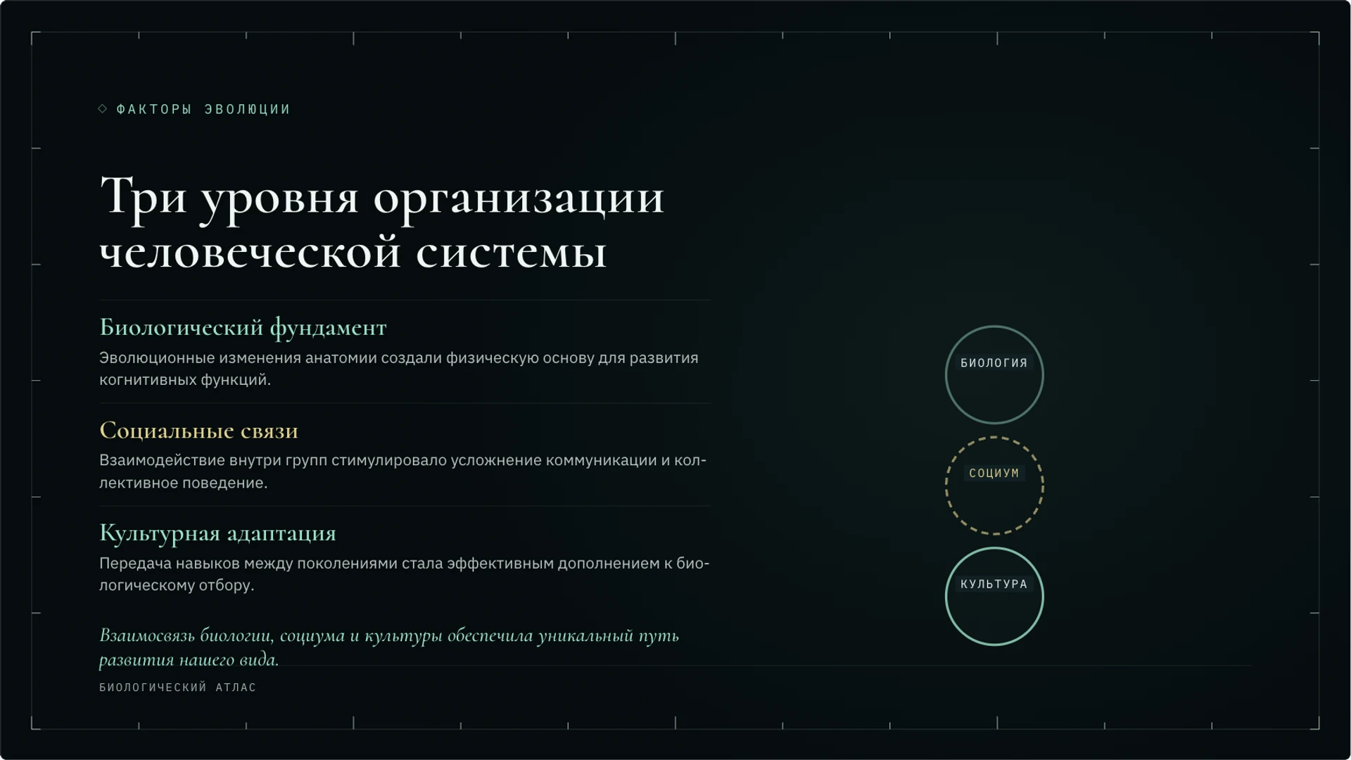 Слайд 9 «Три уровня организации человеческой системы» из презентации «Антропогенез: происхождение человека и научные данные».