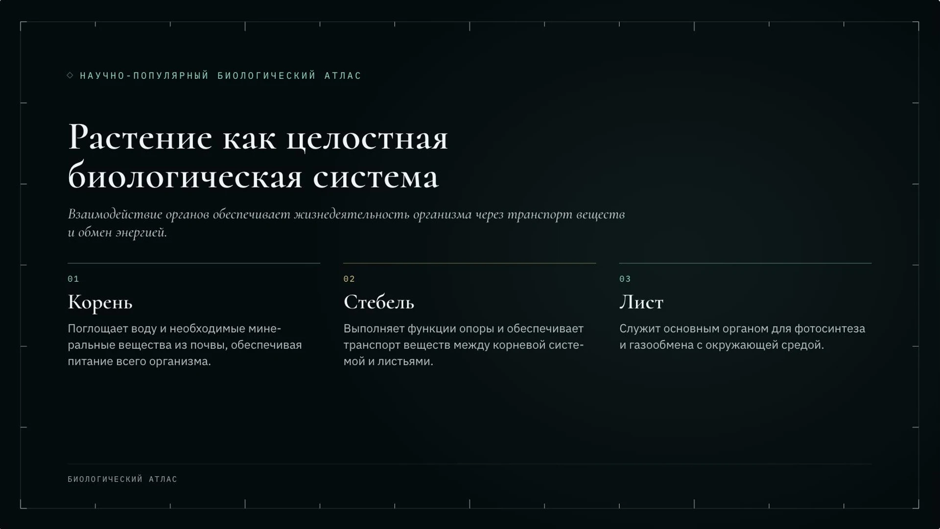 Слайд 2 «Растение как целостная биологическая система» из презентации «Ботаника: наука о растениях».