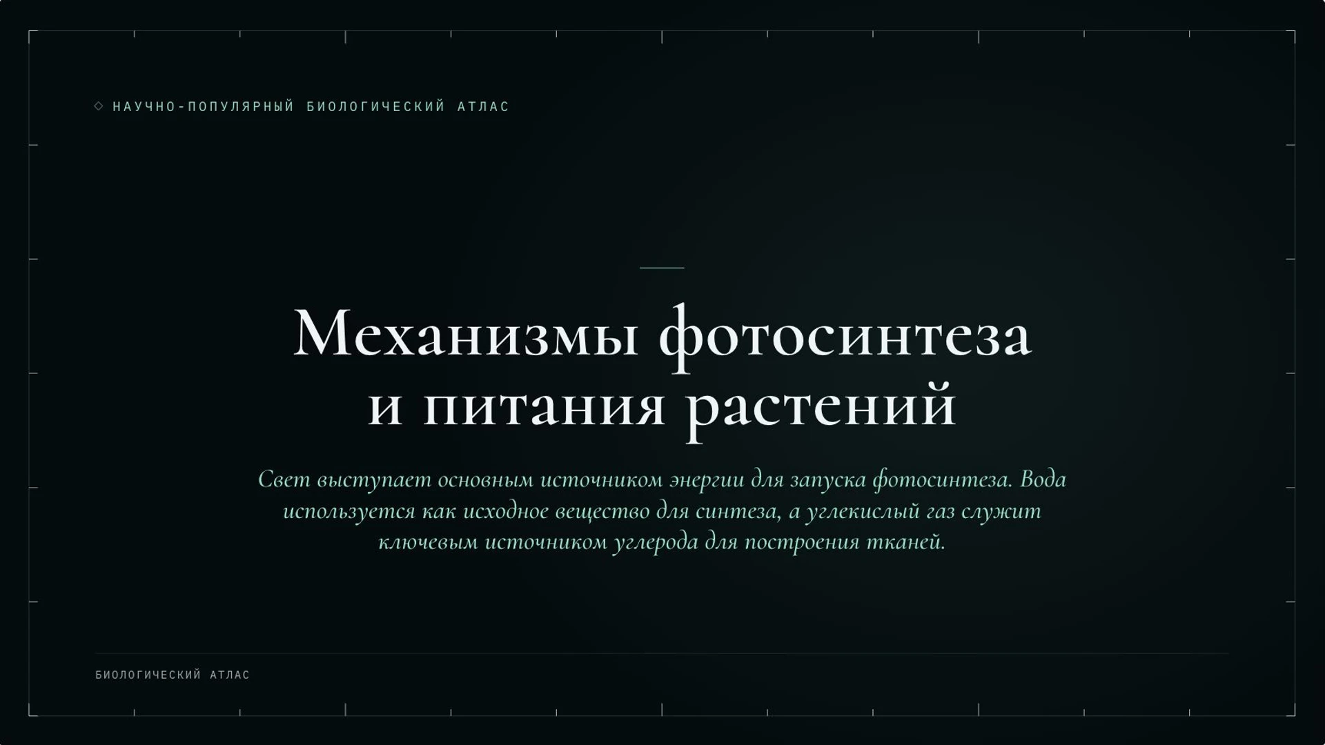 Слайд 5 «Механизмы фотосинтеза и питания растений» из презентации «Ботаника: наука о растениях».