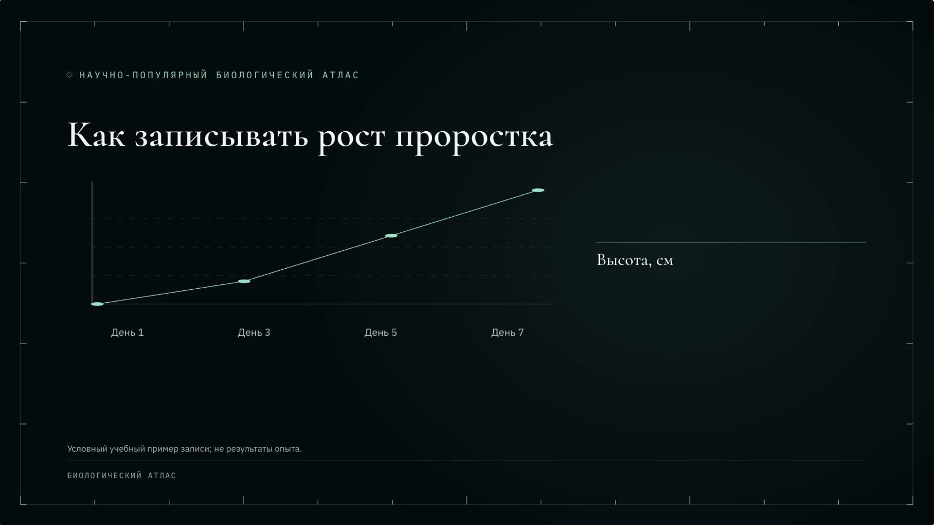 Слайд 8 «Как записывать рост проростка» из презентации «Ботаника: наука о растениях».