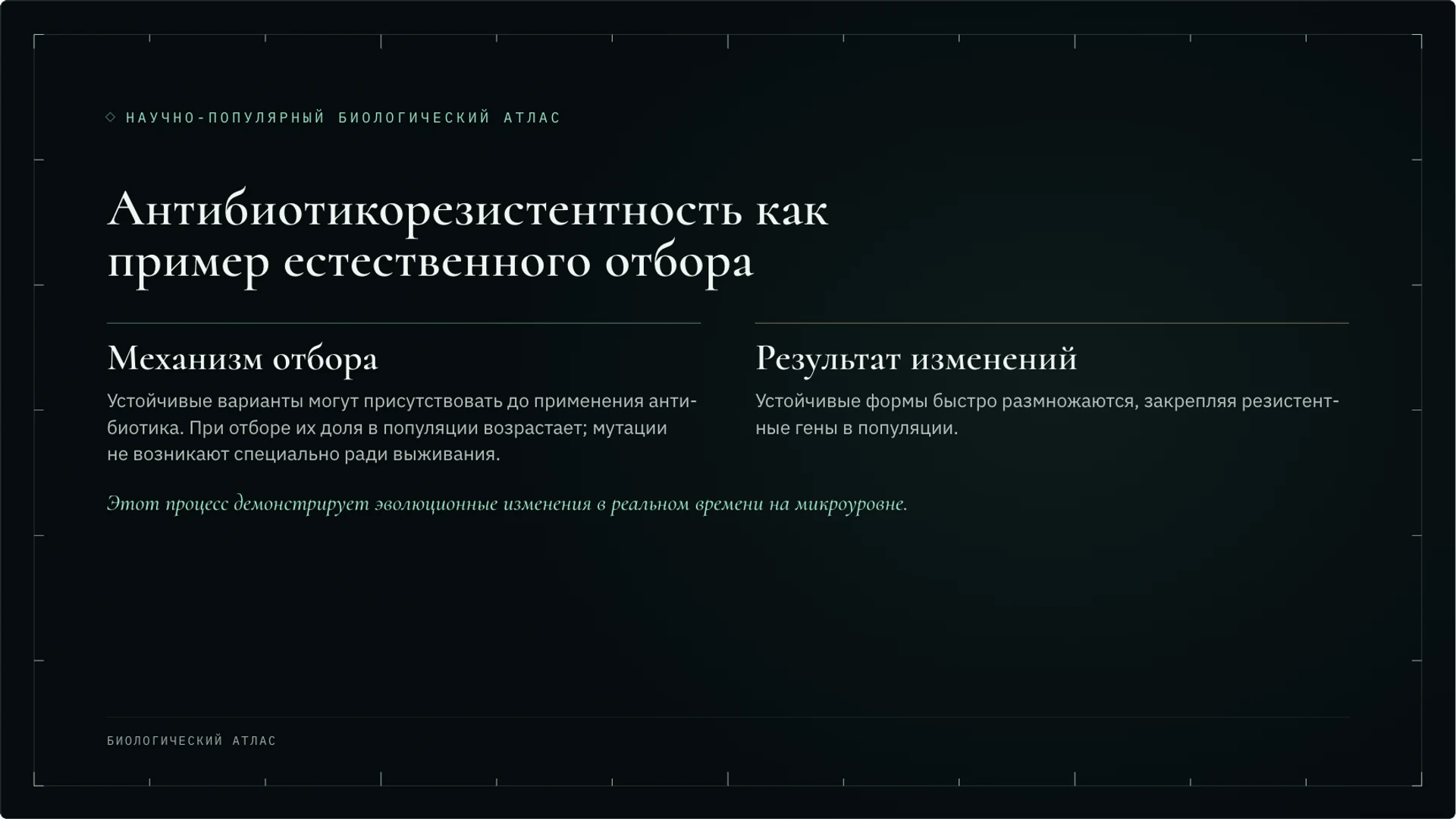 Слайд 7 «Антибиотикорезистентность как пример естественного отбора» из презентации «Эволюция: механизмы и доказательства».