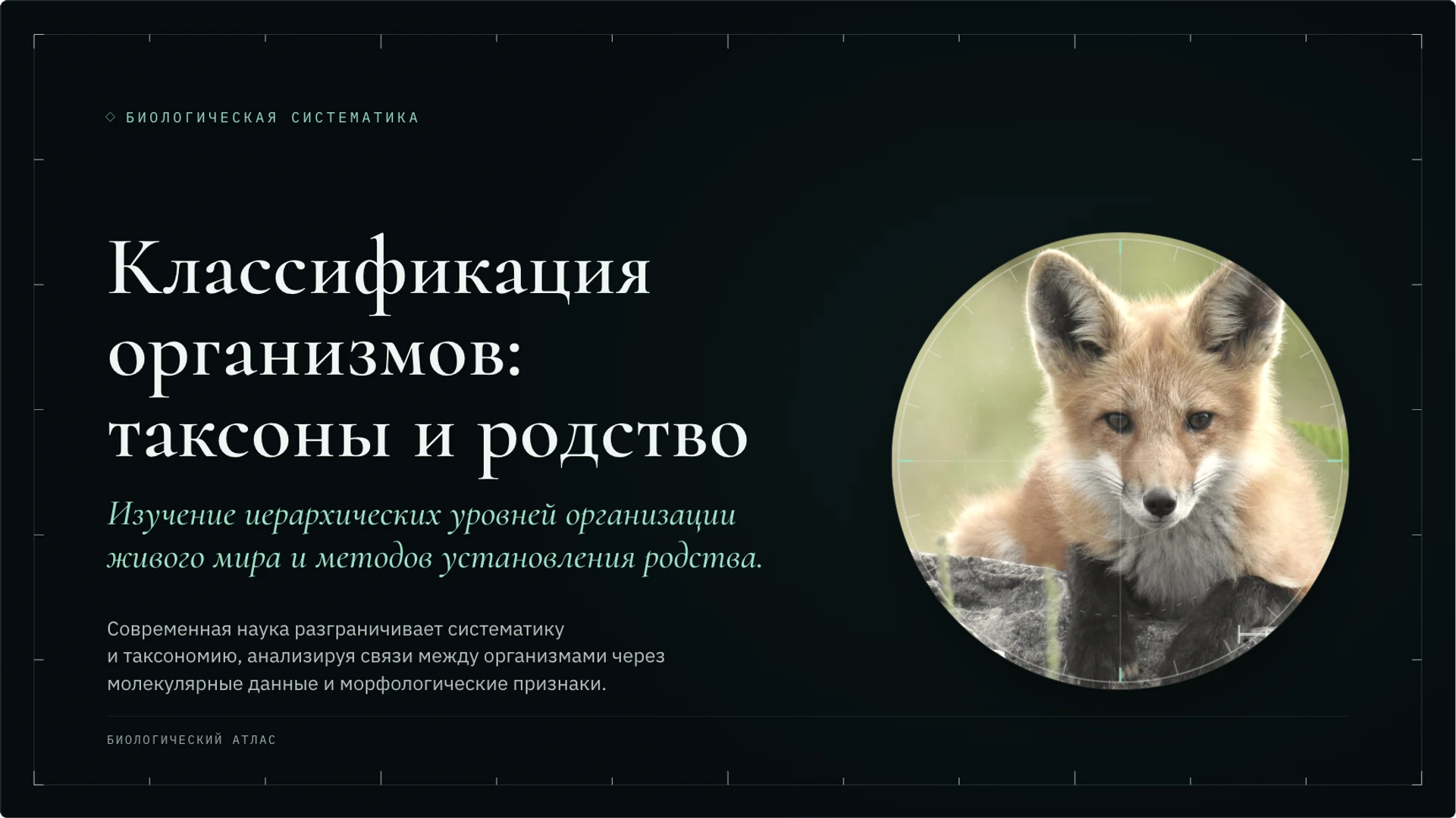Обложка: Классификация организмов: таксоны и родство
