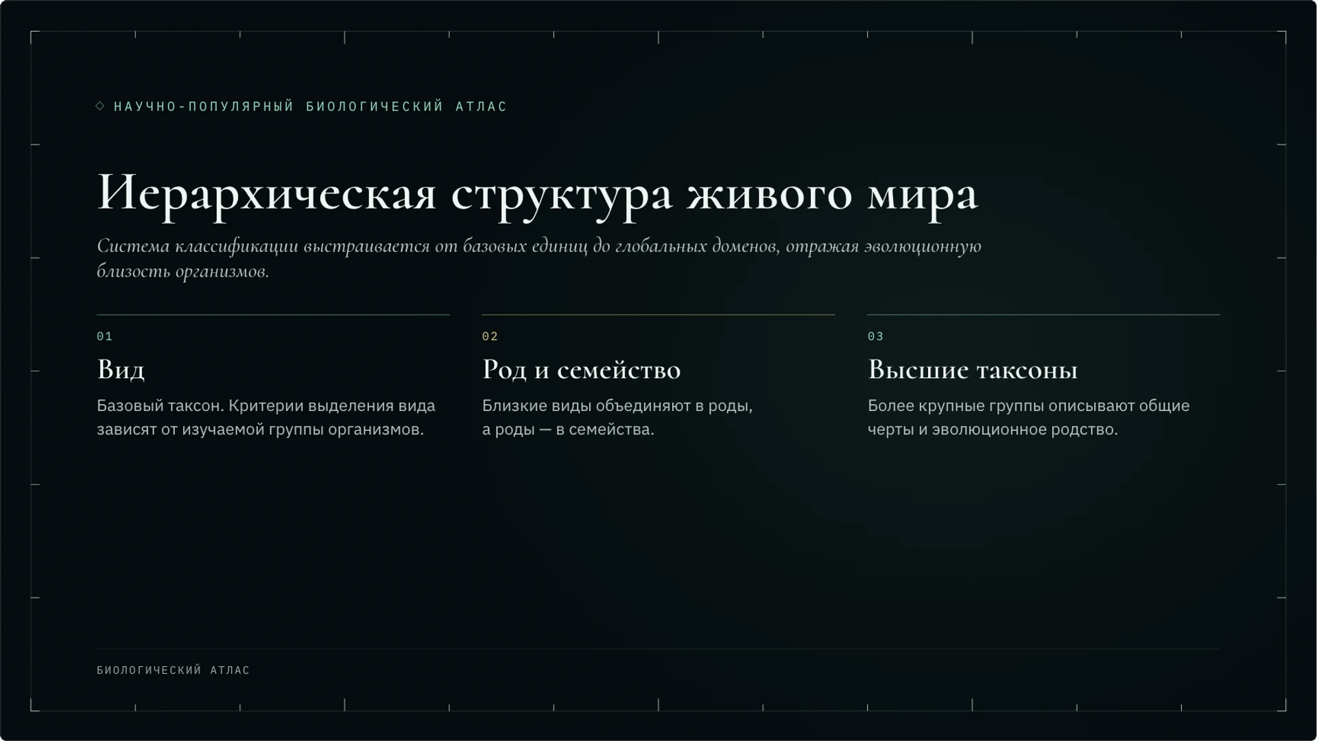 Слайд 2 «Иерархическая структура живого мира» из презентации «Классификация организмов: таксоны и родство».
