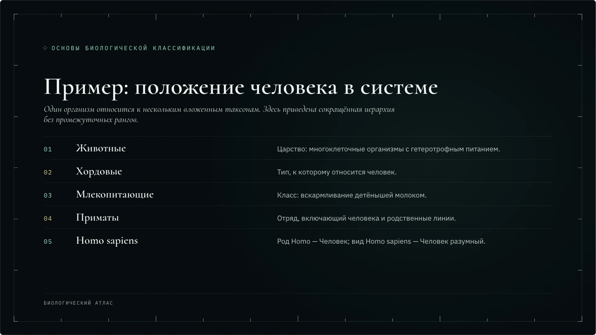 Слайд 3 «Пример: положение человека в системе» из презентации «Классификация организмов: таксоны и родство».