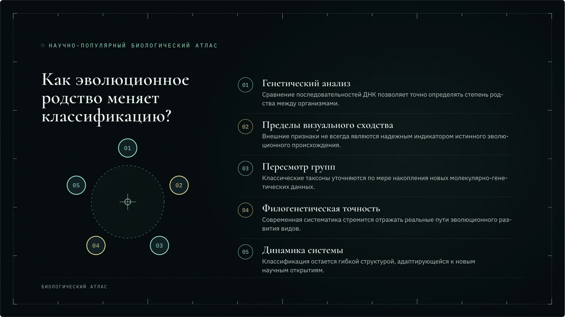 Слайд 6 «Как эволюционное родство меняет классификацию?» из презентации «Классификация организмов: таксоны и родство».