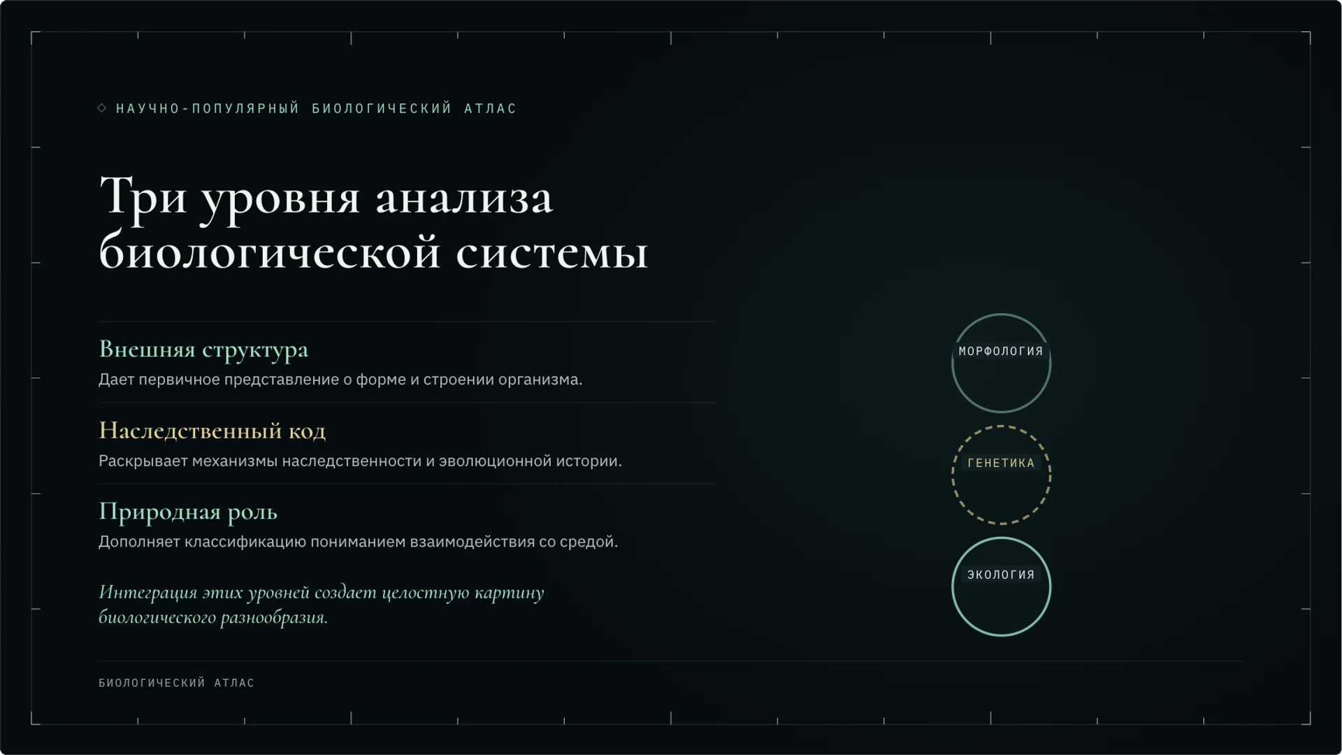 Слайд 9 «Три уровня анализа биологической системы» из презентации «Классификация организмов: таксоны и родство».