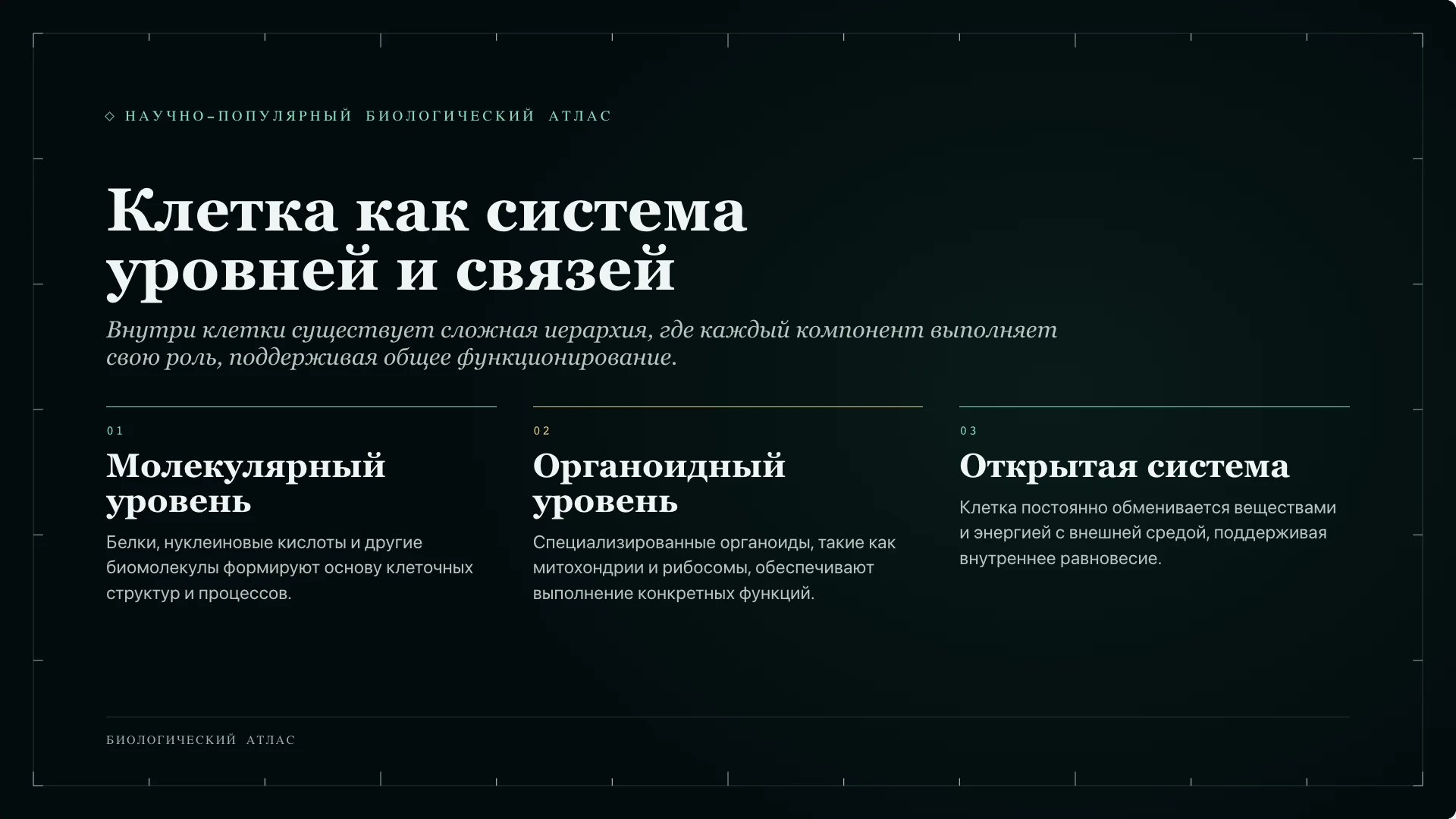 Слайд 2 «Клетка как система уровней и связей» из презентации «Клетка: строение и функции».