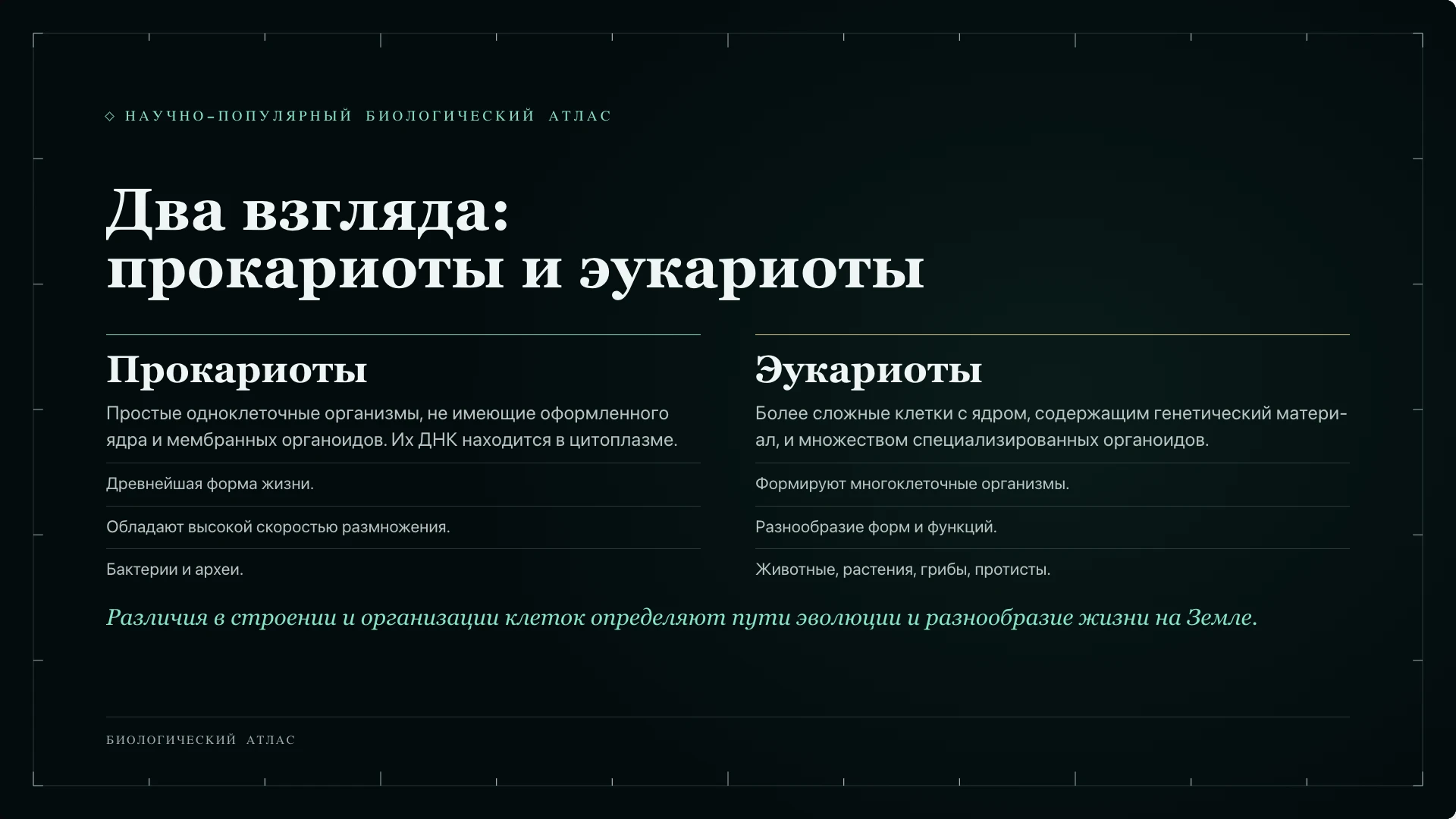 Слайд 7 «Два взгляда: прокариоты и эукариоты» из презентации «Клетка: строение и функции».