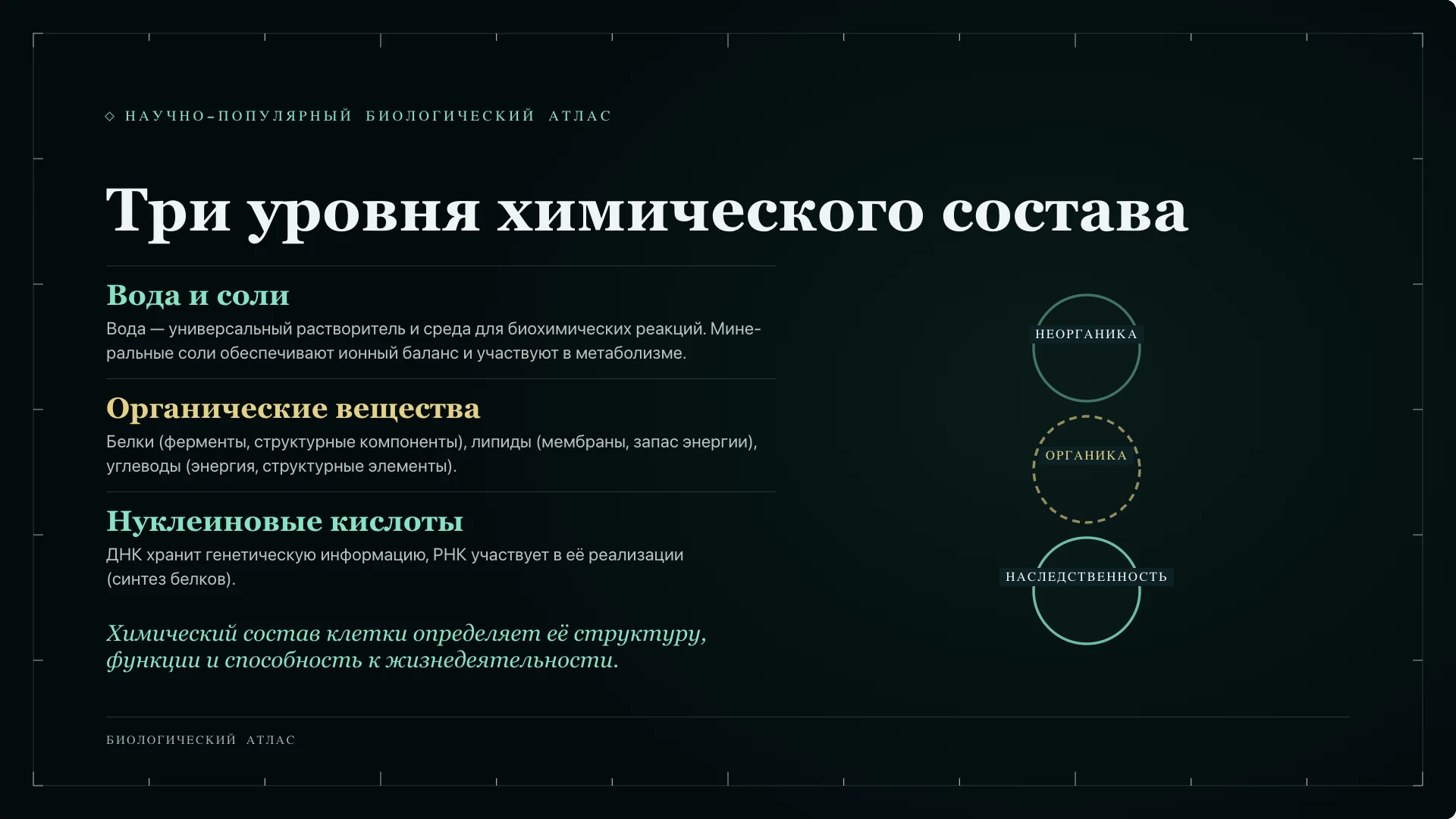 Слайд 9 «Три уровня химического состава» из презентации «Клетка: строение и функции».