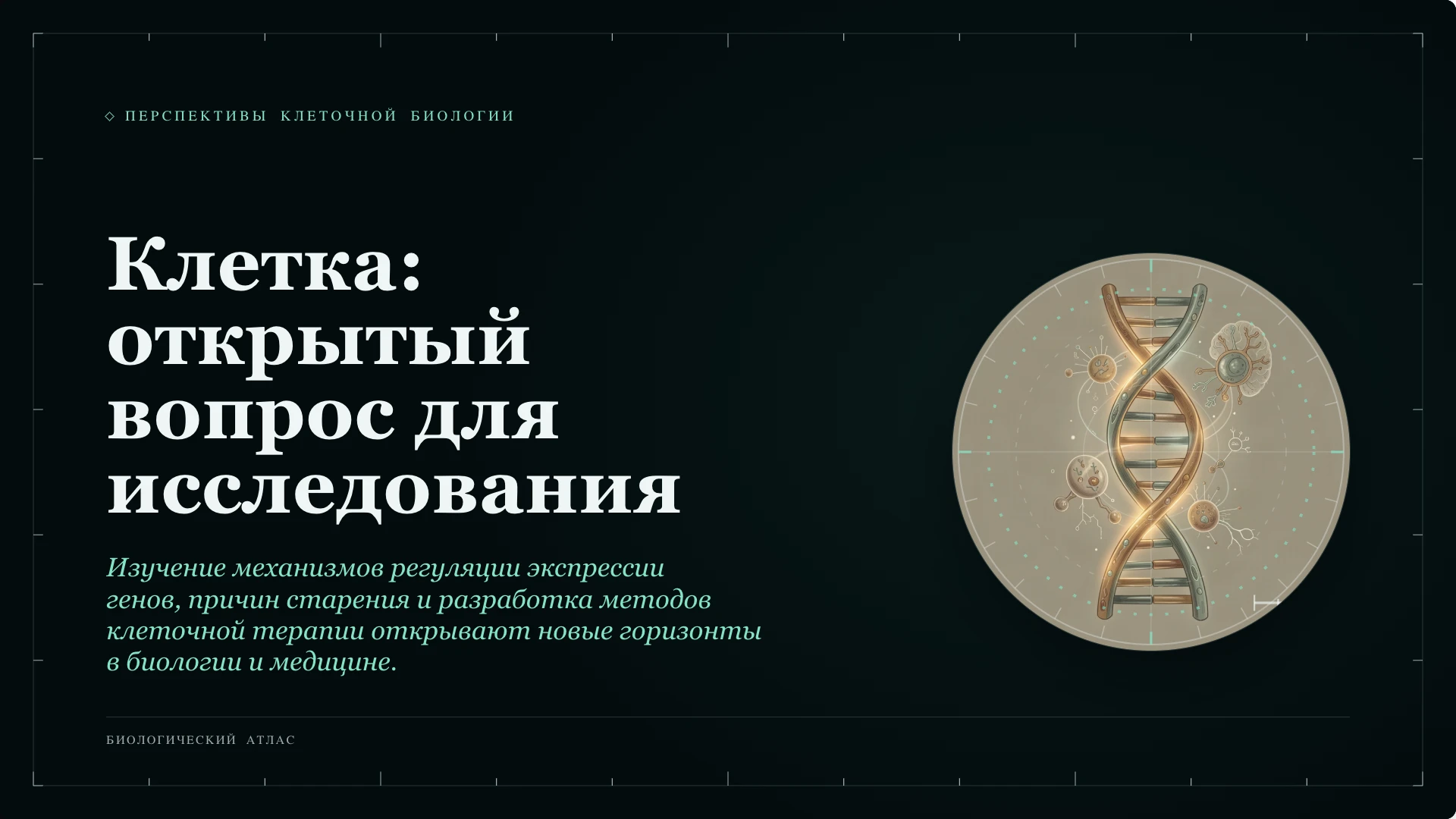 Слайд 10 «Клетка: открытый вопрос для исследования» из презентации «Клетка: строение и функции».