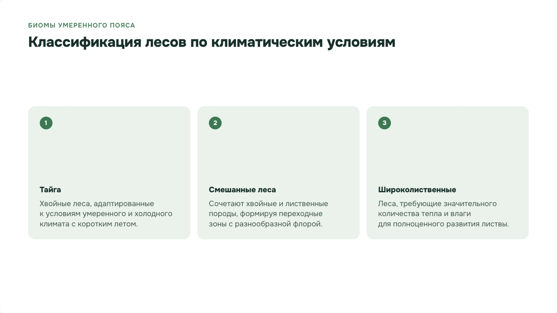 Слайд 4 «Классификация лесов по климатическим условиям» из презентации «Леса: ярусы, связи организмов и охрана».