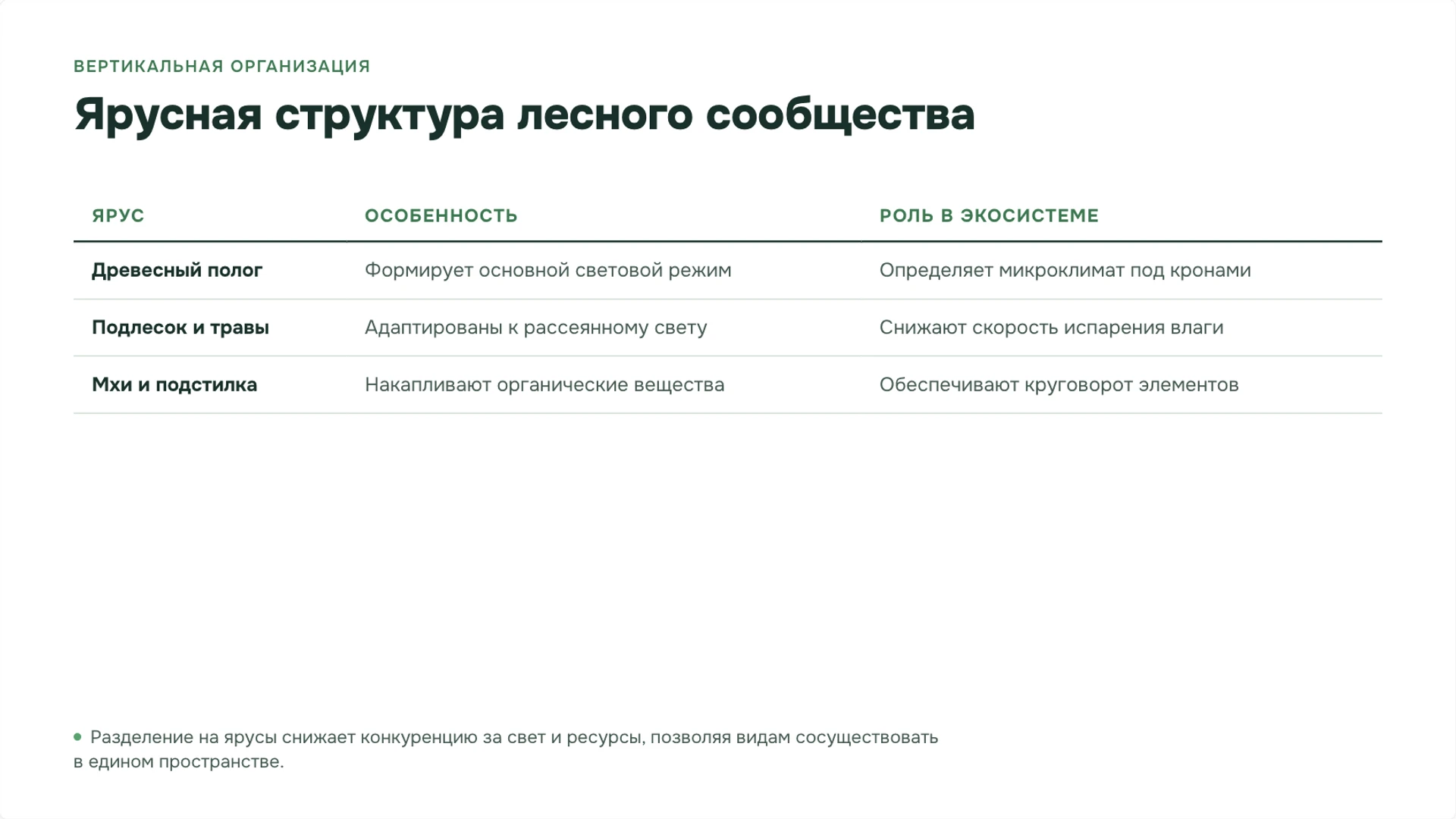 Слайд 5 «Ярусная структура лесного сообщества» из презентации «Леса: ярусы, связи организмов и охрана».