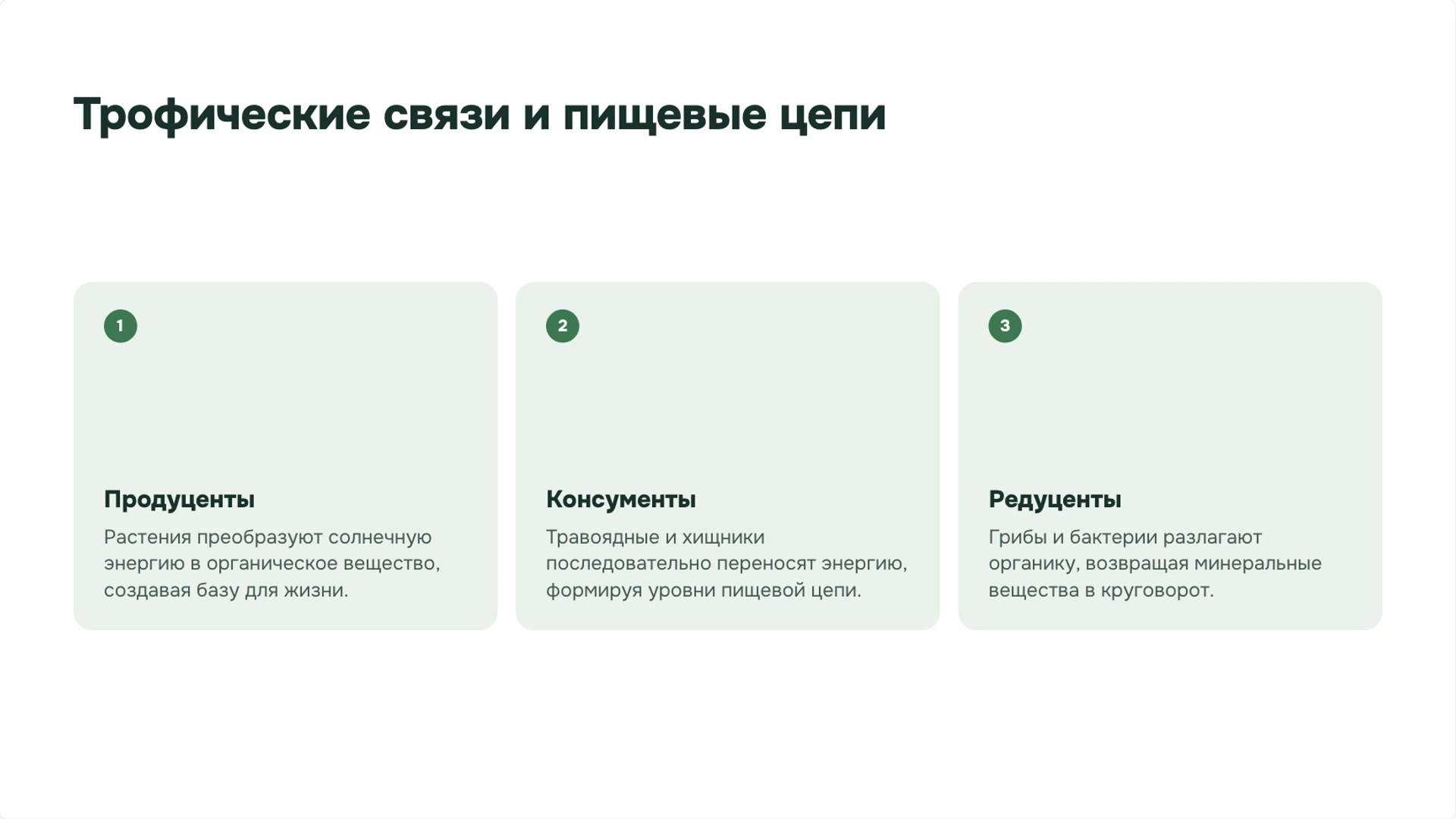 Слайд 6 «Трофические связи и пищевые цепи» из презентации «Леса: ярусы, связи организмов и охрана».