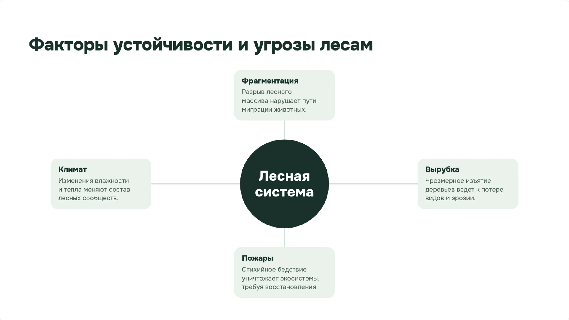 Слайд 7 «Факторы устойчивости и угрозы лесам» из презентации «Леса: ярусы, связи организмов и охрана».