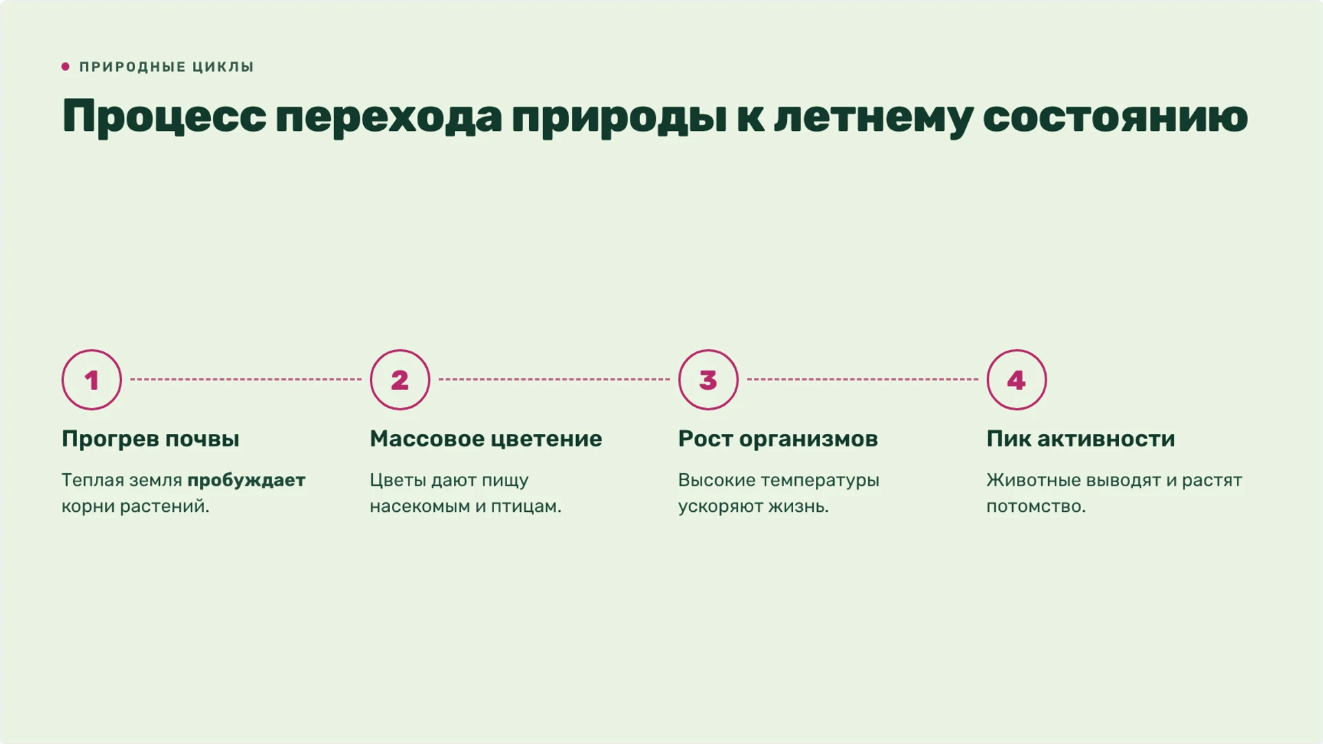 Слайд 4 «Процесс перехода природы к летнему состоянию» из презентации «Лето: изменения в природе и жизнь организмов».