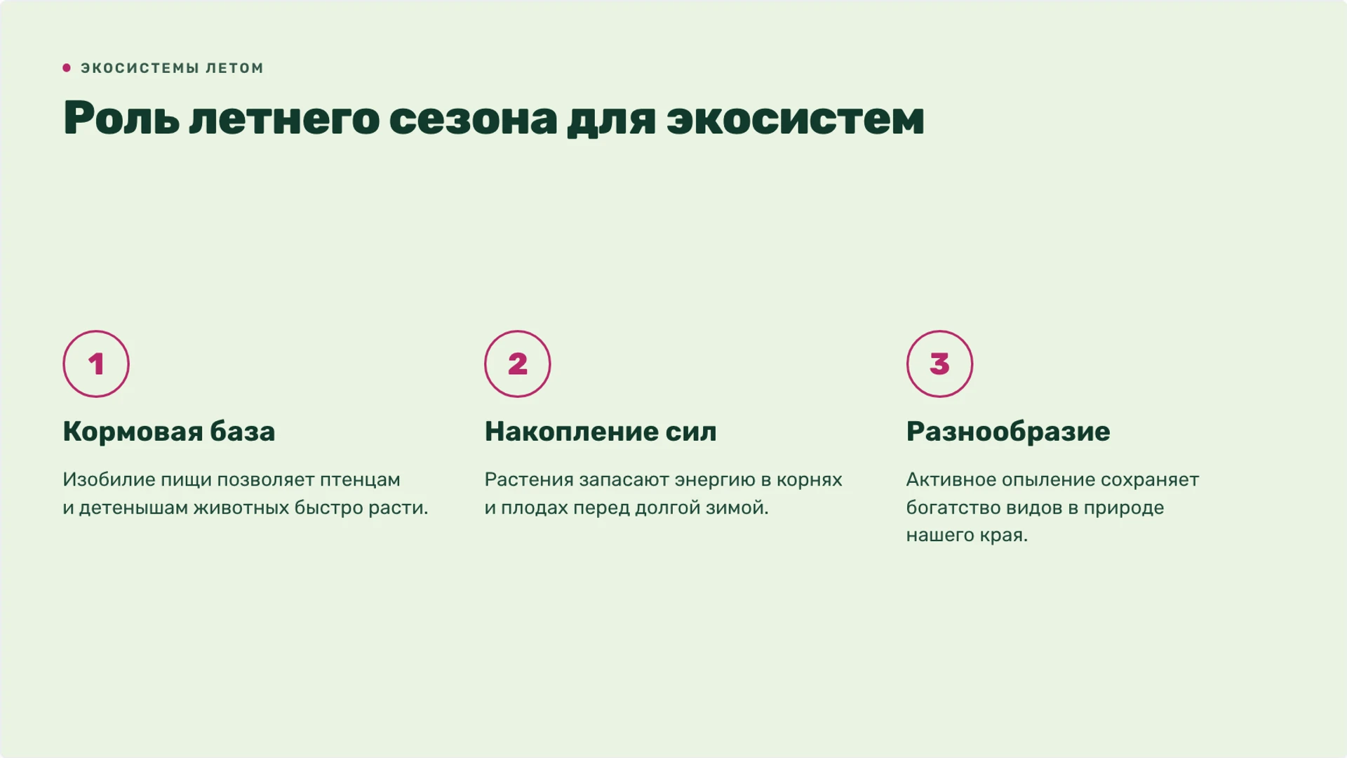 Слайд 7 «Роль летнего сезона для экосистем» из презентации «Лето: изменения в природе и жизнь организмов».