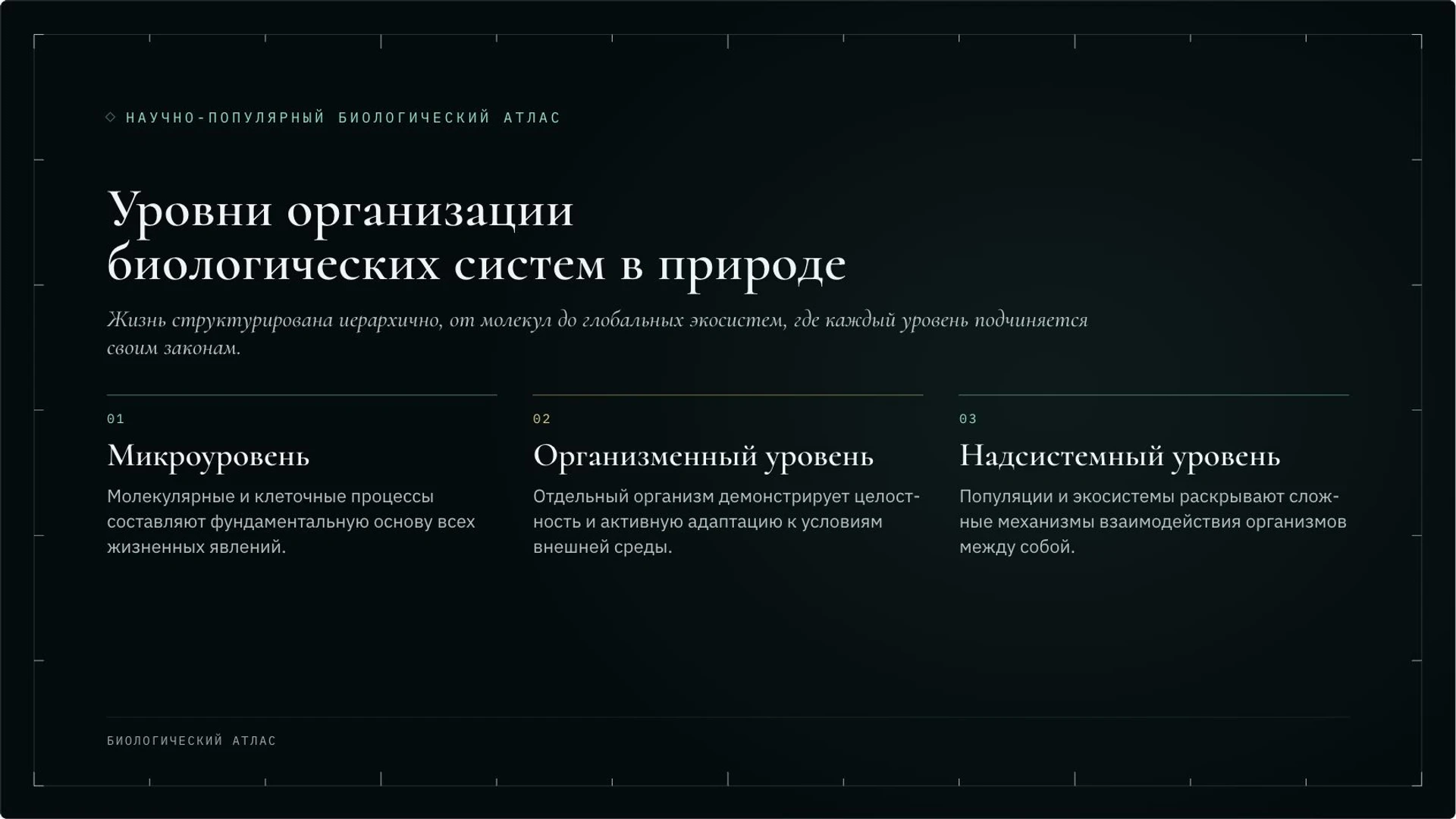 Слайд 2 «Уровни организации биологических систем в природе» из презентации «Методы биологии: наблюдение, сравнение и эксперимент».