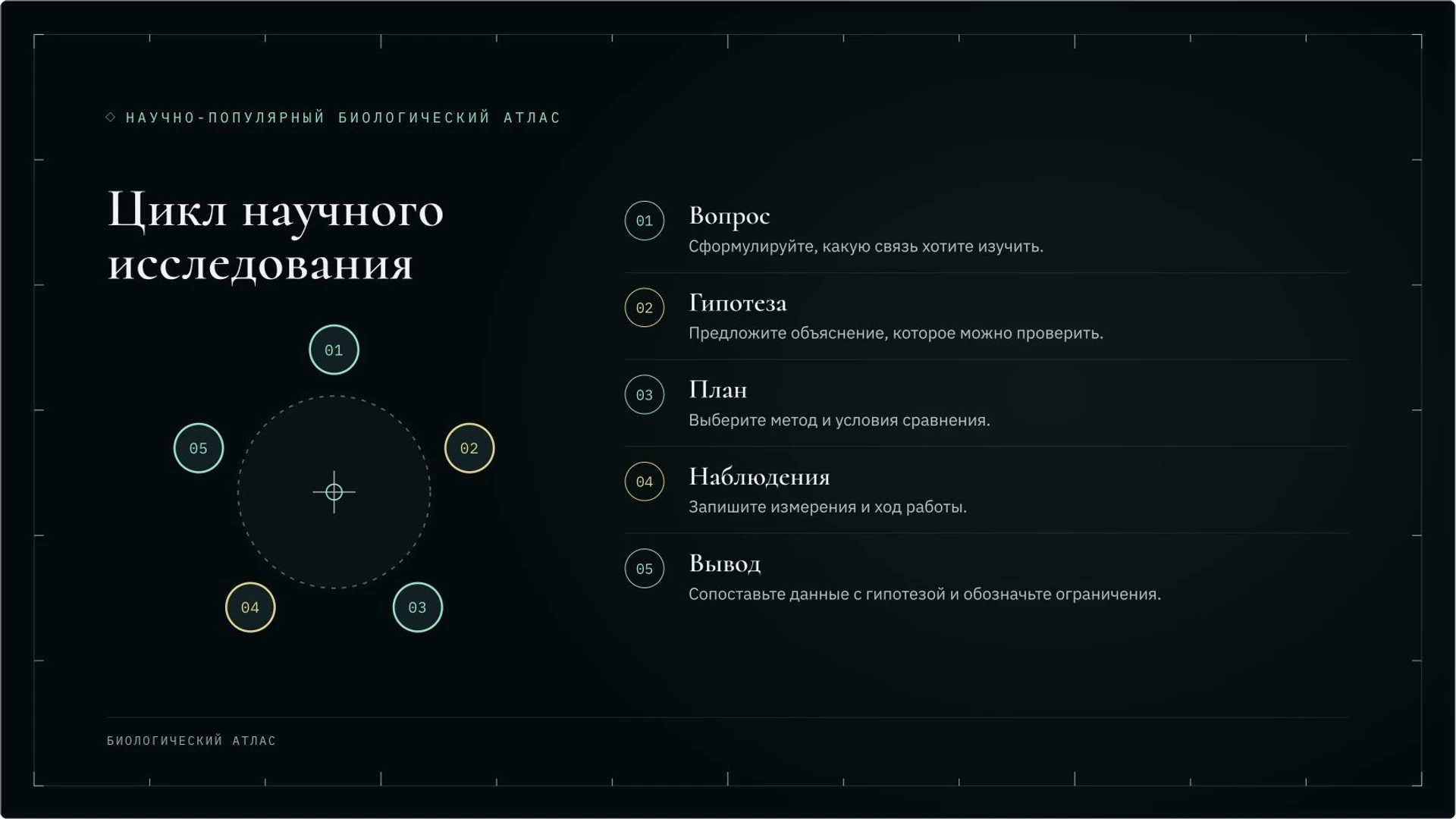 Слайд 6 «Цикл научного исследования» из презентации «Методы биологии: наблюдение, сравнение и эксперимент».