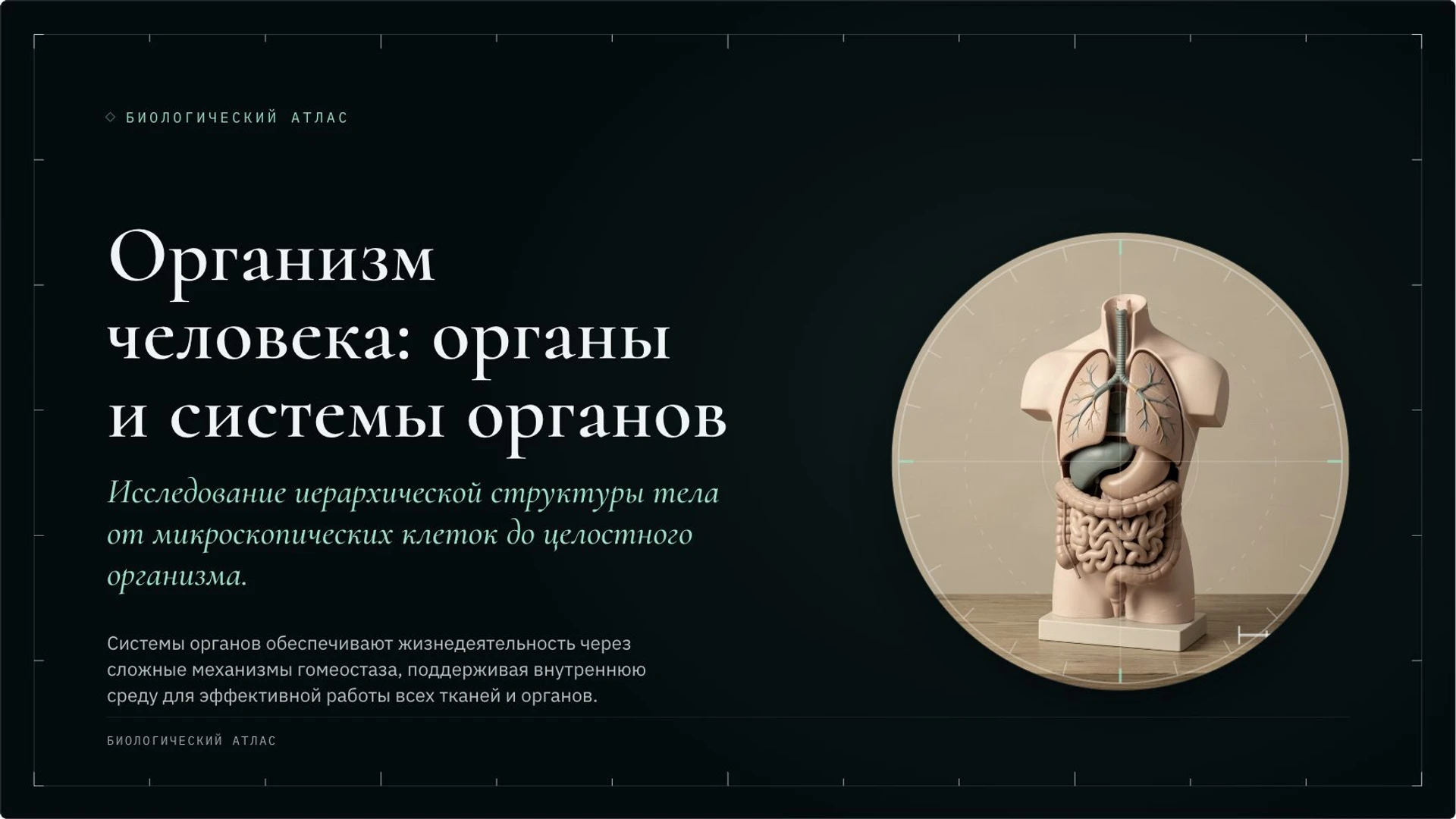 Обложка: Организм человека: органы и системы органов