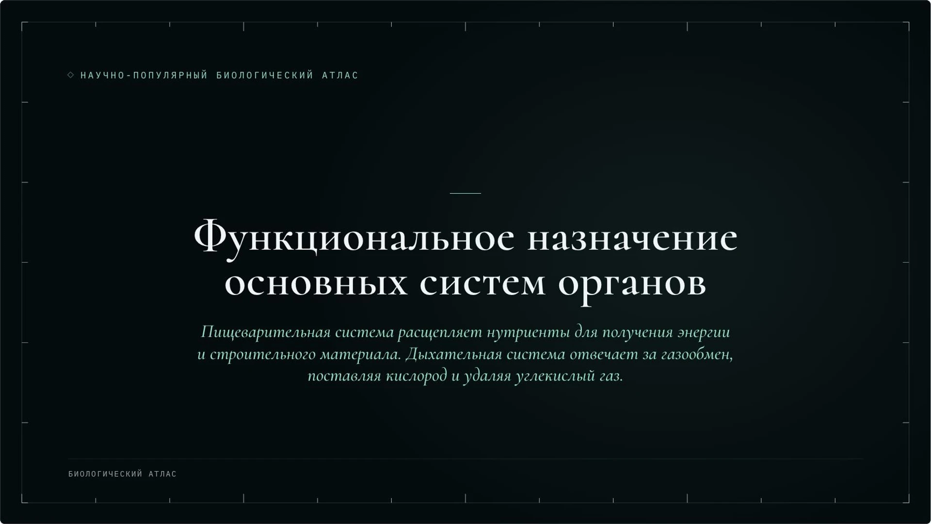 Слайд 5 «Функциональное назначение основных систем органов» из презентации «Организм человека: органы и системы органов».