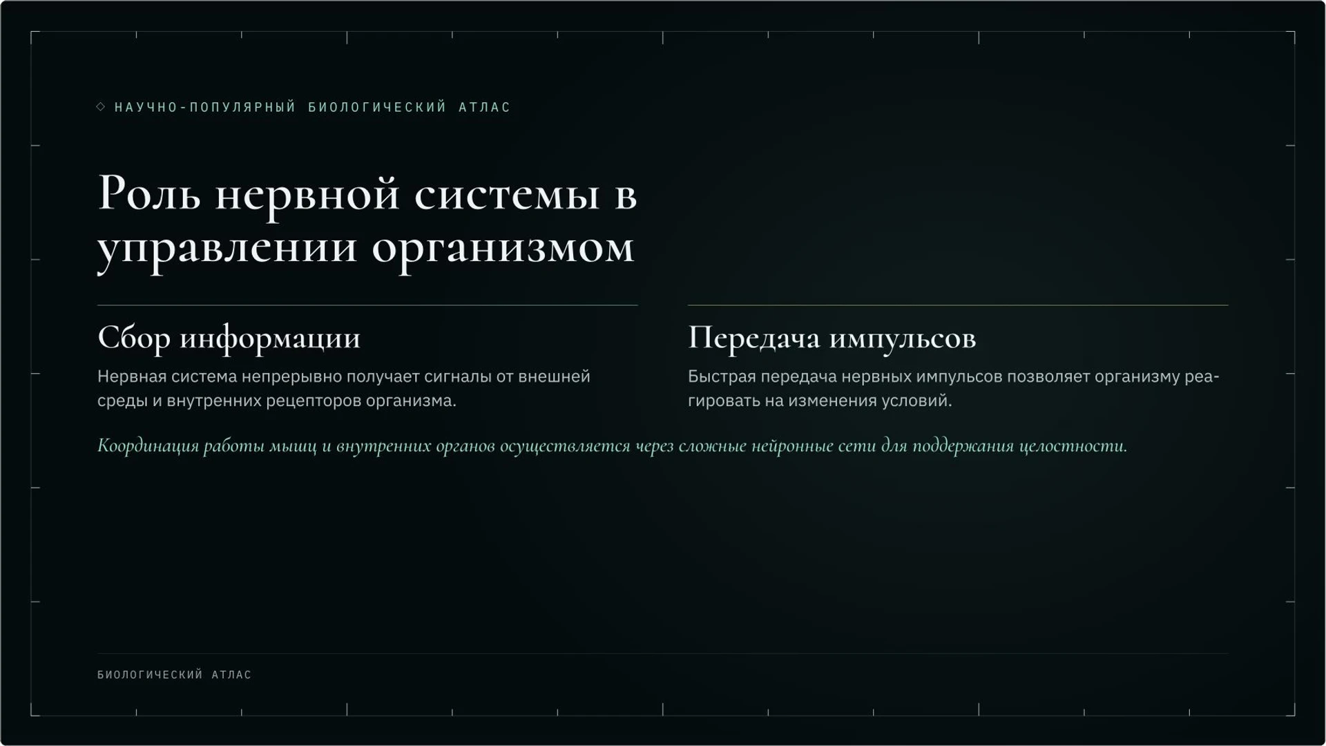 Слайд 7 «Роль нервной системы в управлении организмом» из презентации «Организм человека: органы и системы органов».