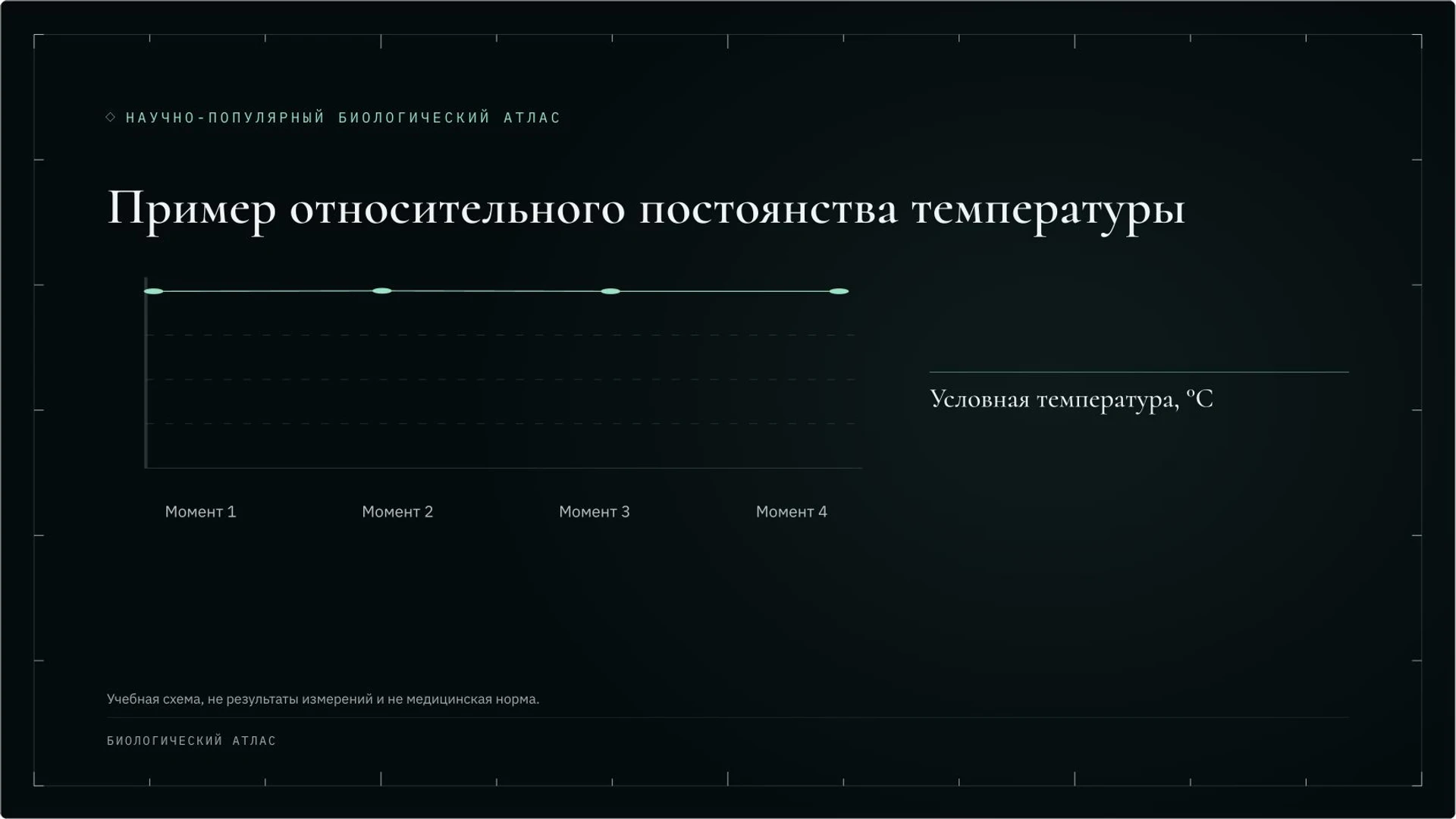 Слайд 8 «Пример относительного постоянства температуры» из презентации «Организм человека: органы и системы органов».