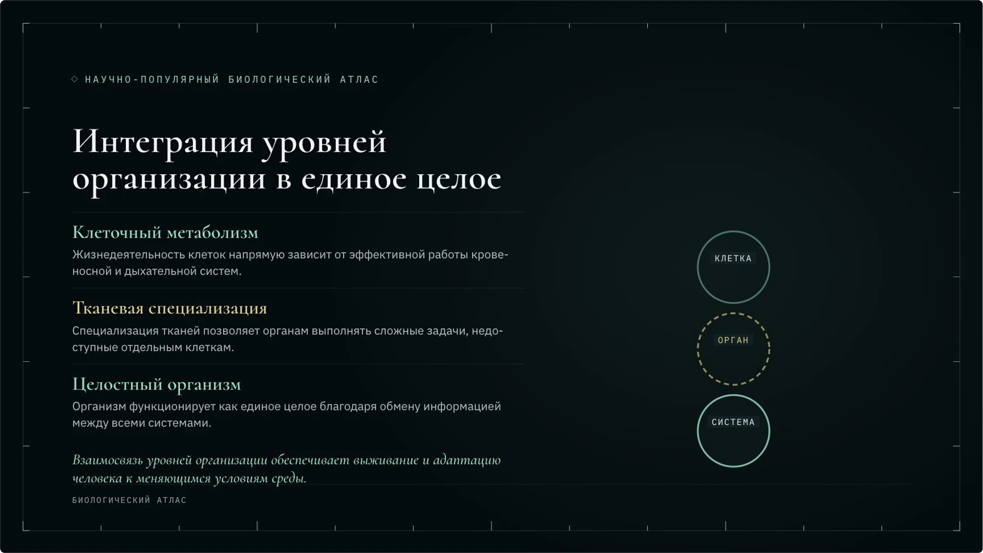Слайд 9 «Интеграция уровней организации в единое целое» из презентации «Организм человека: органы и системы органов».