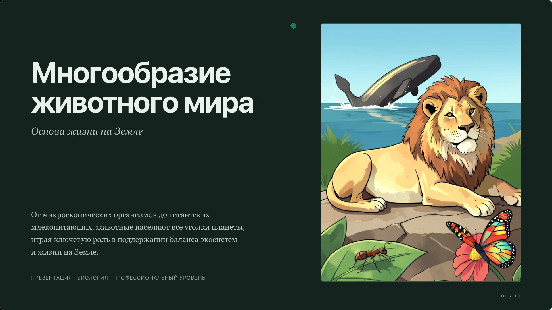 Обложка: Общие признаки животных