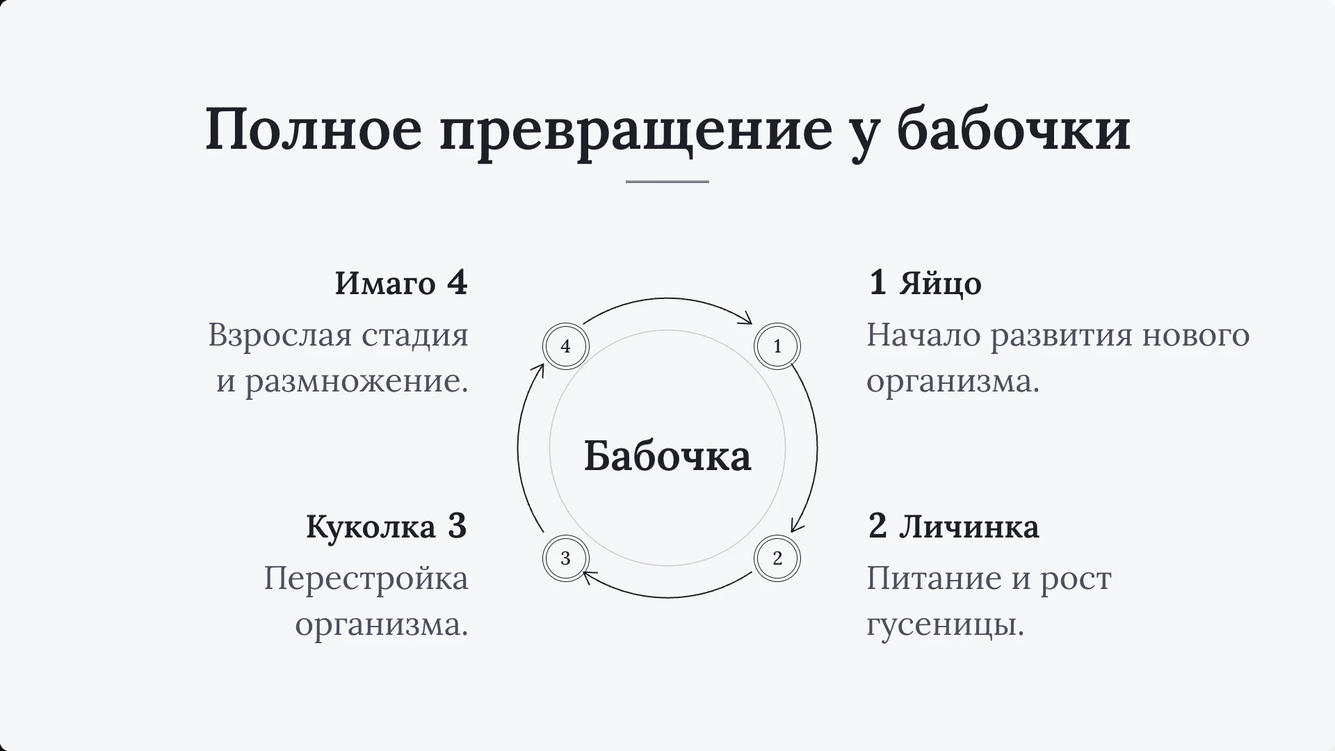 Слайд 6 «Полное превращение у бабочки» из презентации «Общие признаки животных».