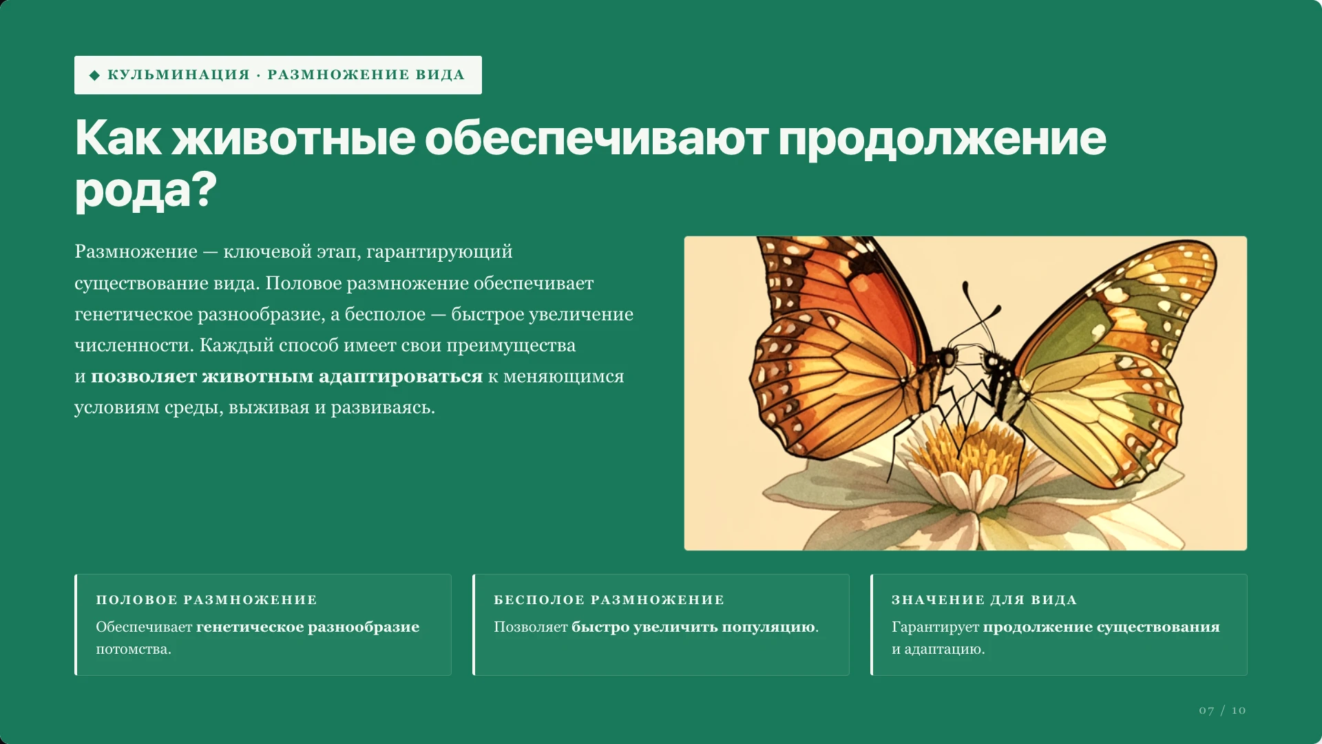 Слайд 7 «Как животные обеспечивают продолжение рода?» из презентации «Общие признаки животных».