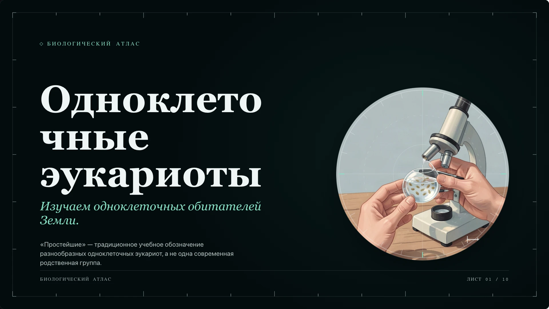 Обложка: Простейшие