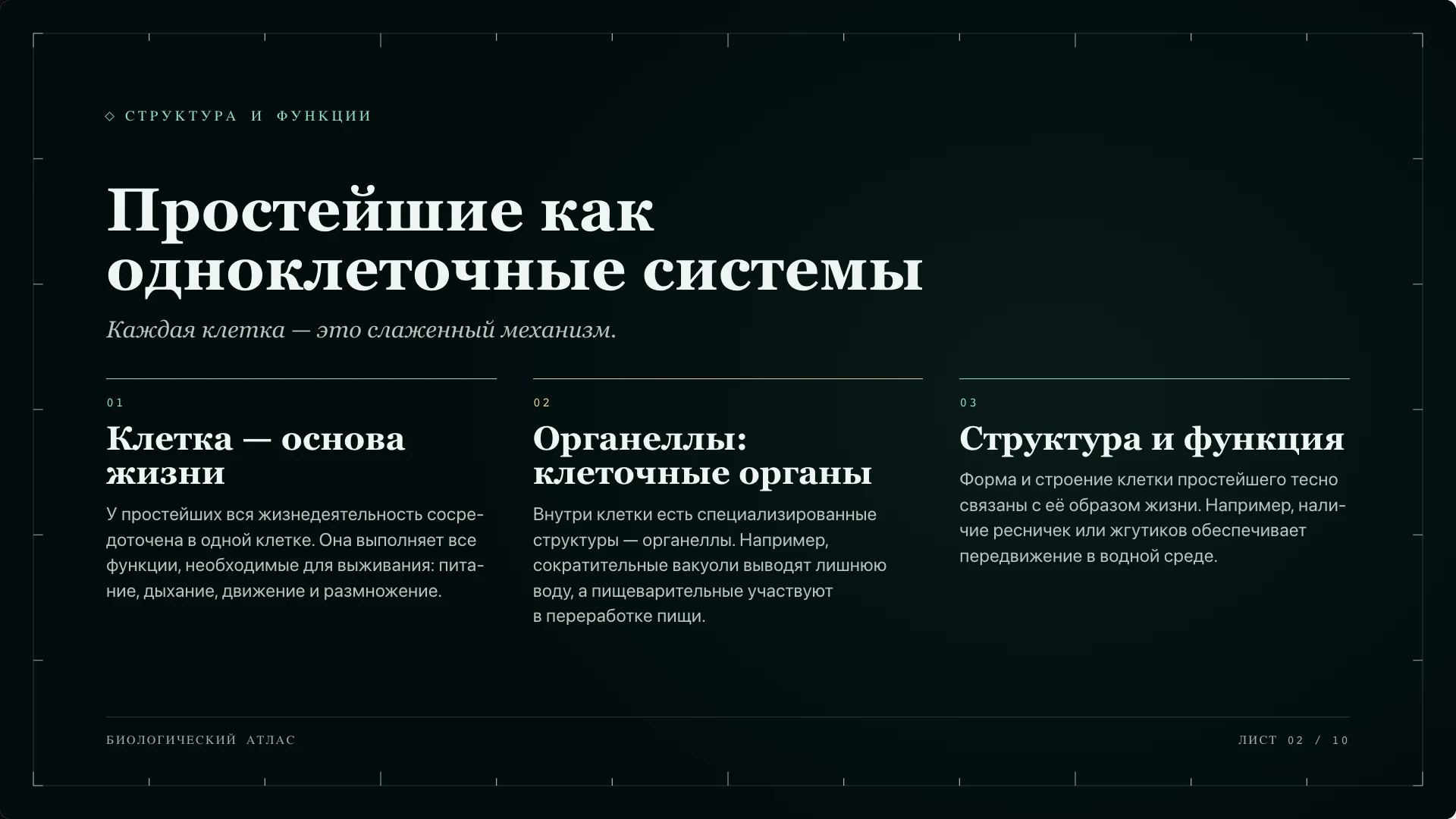 Слайд 2 «Простейшие как одноклеточные системы» из презентации «Простейшие».