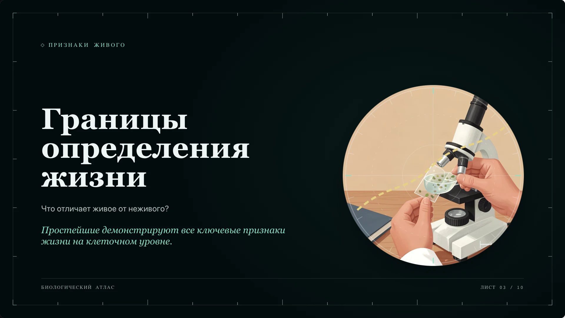 Слайд 3 «Границы определения жизни» из презентации «Простейшие».