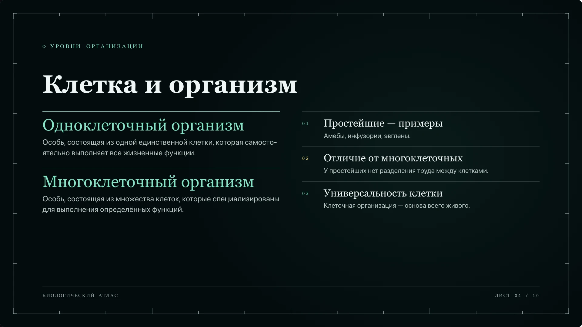 Слайд 4 «Клетка и организм» из презентации «Простейшие».