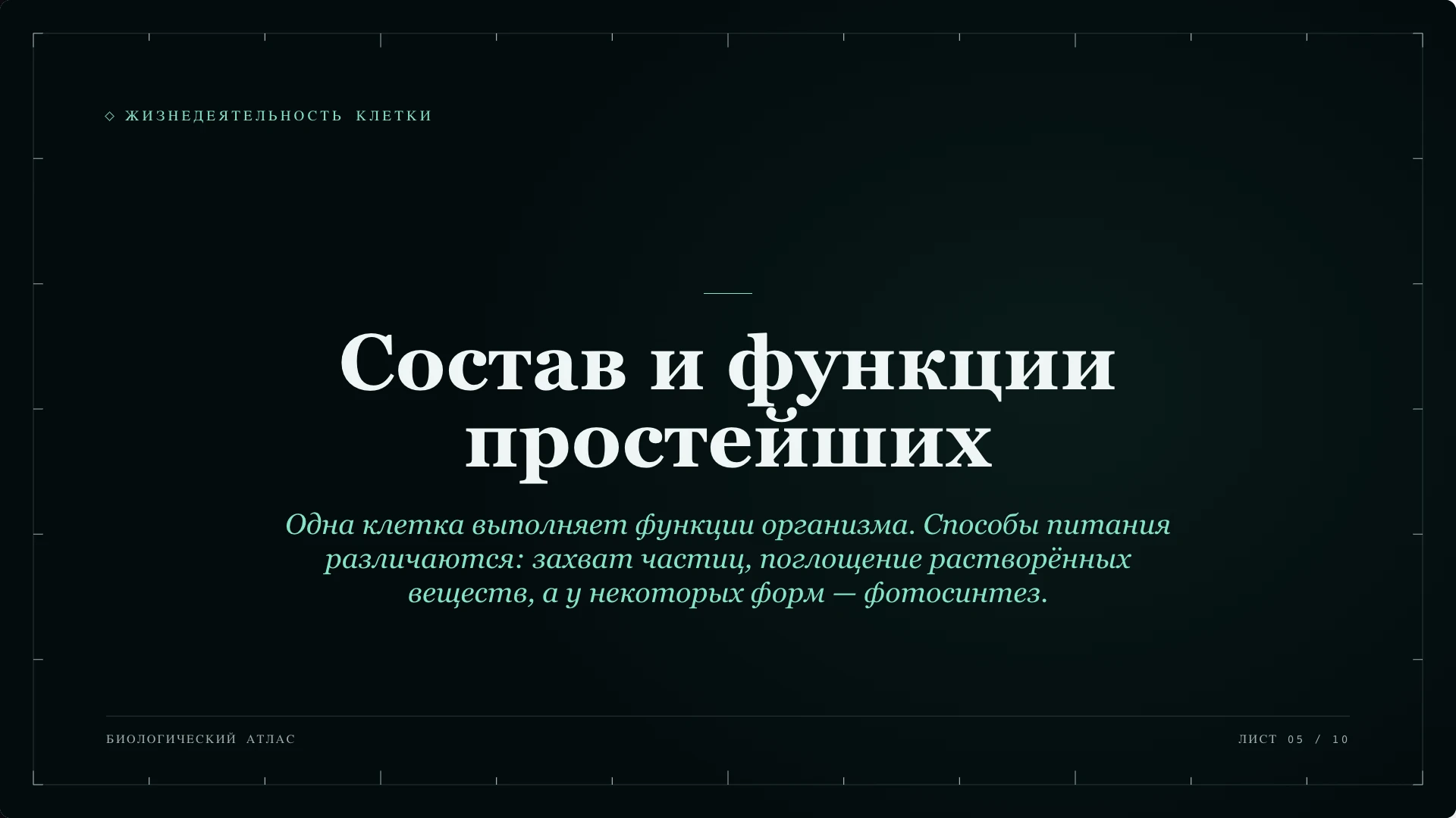 Слайд 5 «Состав и функции простейших» из презентации «Простейшие».