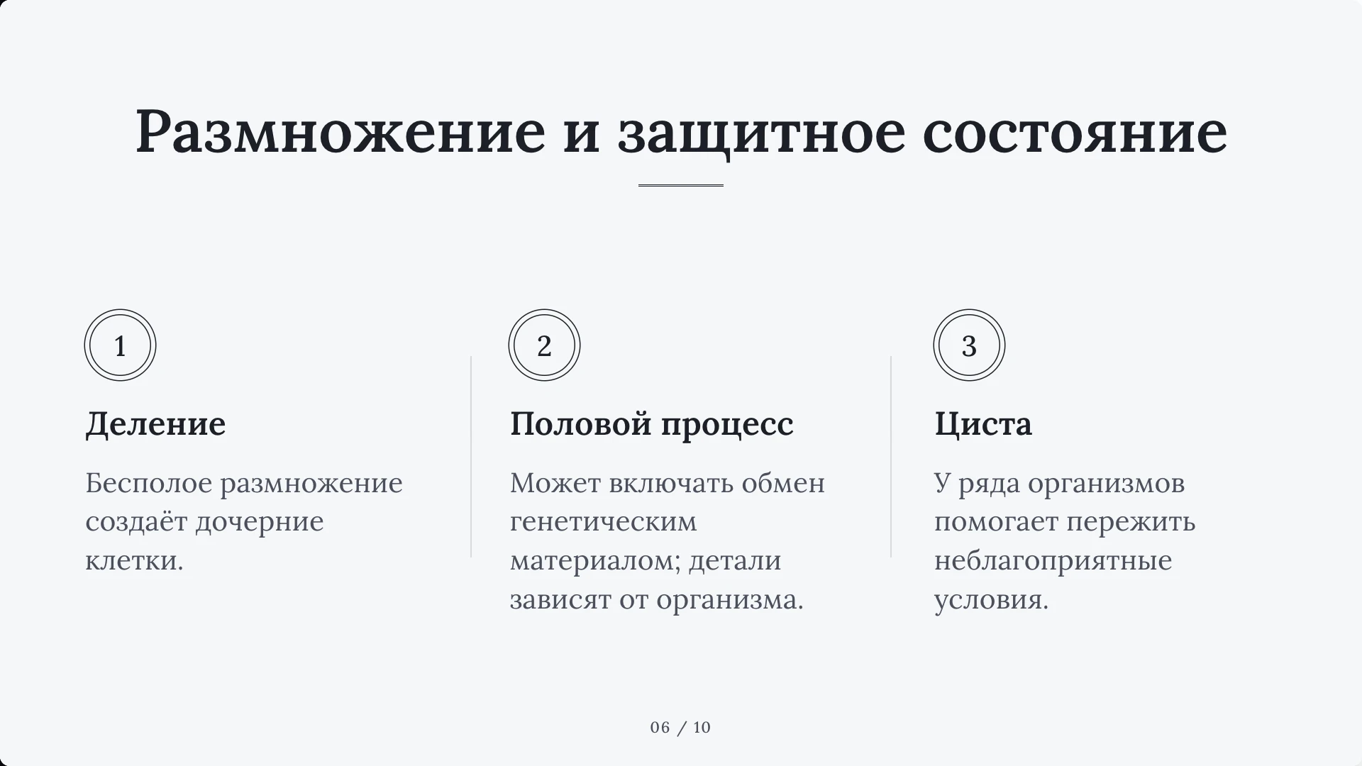 Слайд 6 «Размножение и защитное состояние» из презентации «Простейшие».