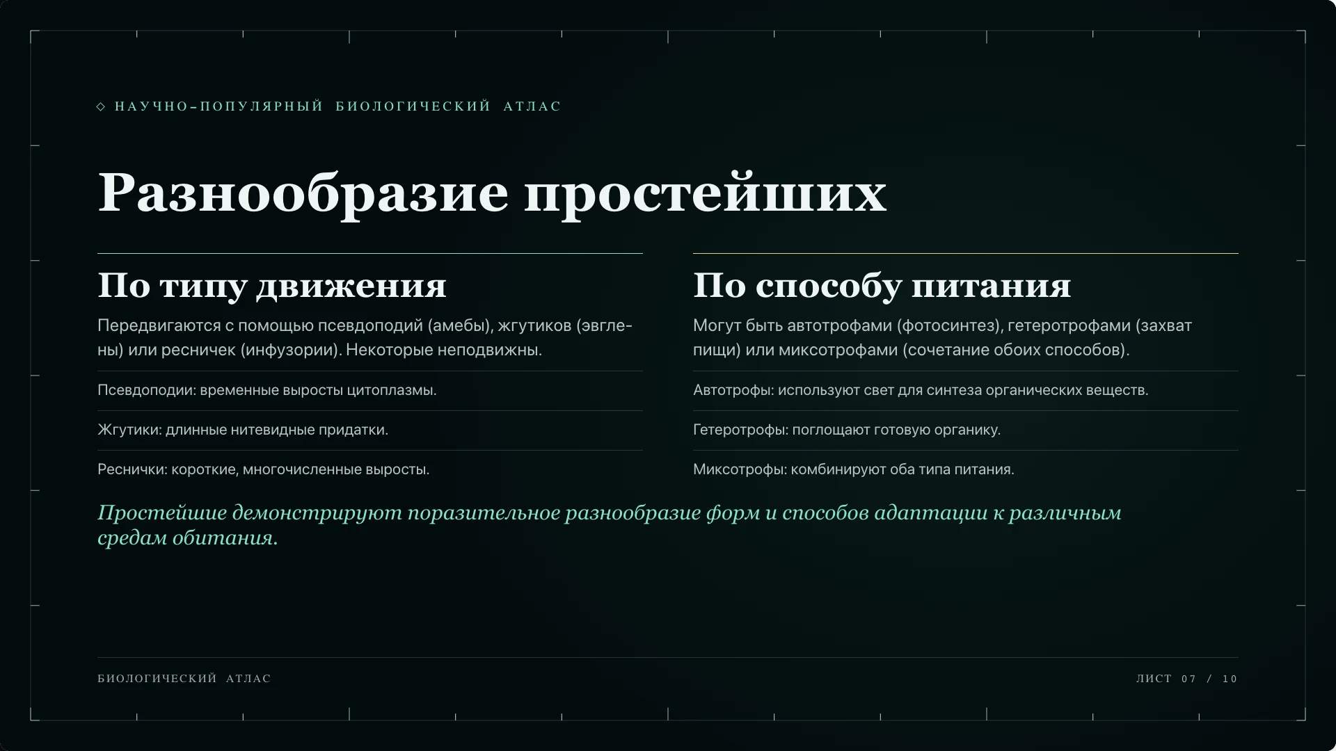 Слайд 7 «Разнообразие простейших» из презентации «Простейшие».