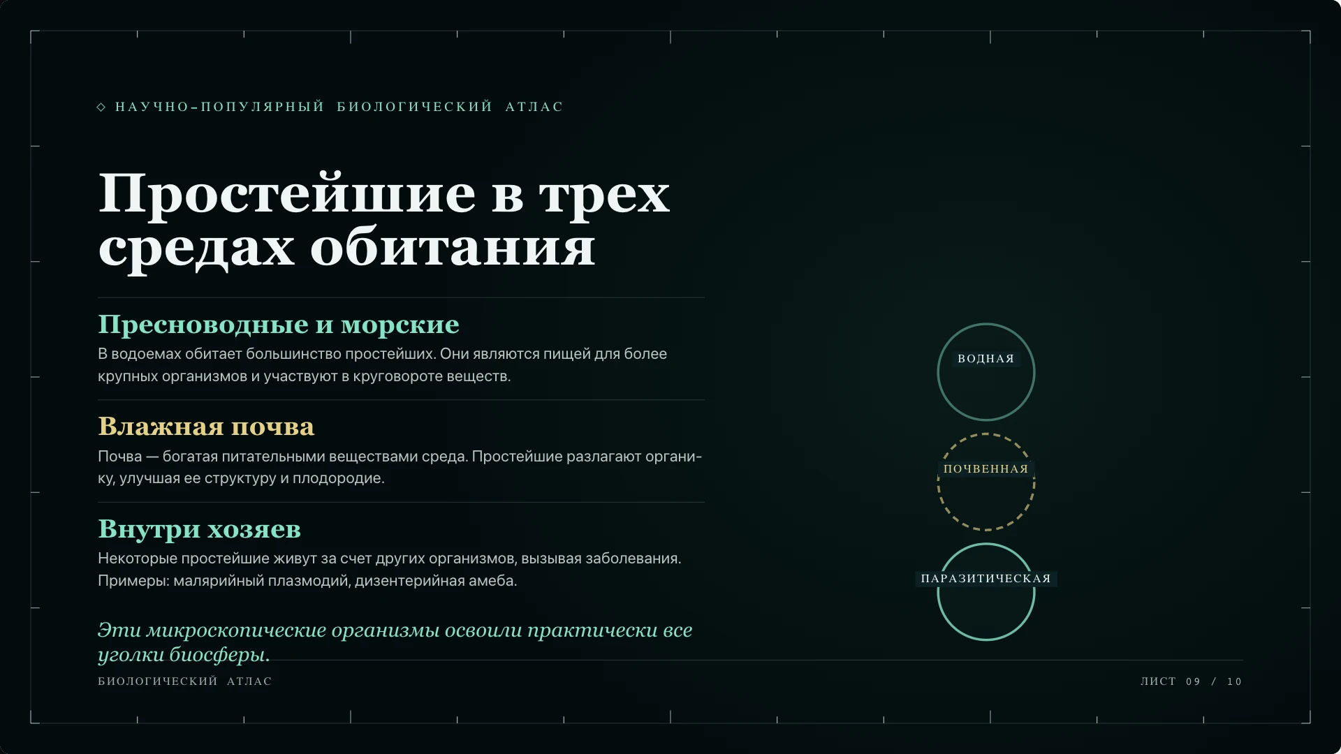 Слайд 9 «Простейшие в трех средах обитания» из презентации «Простейшие».