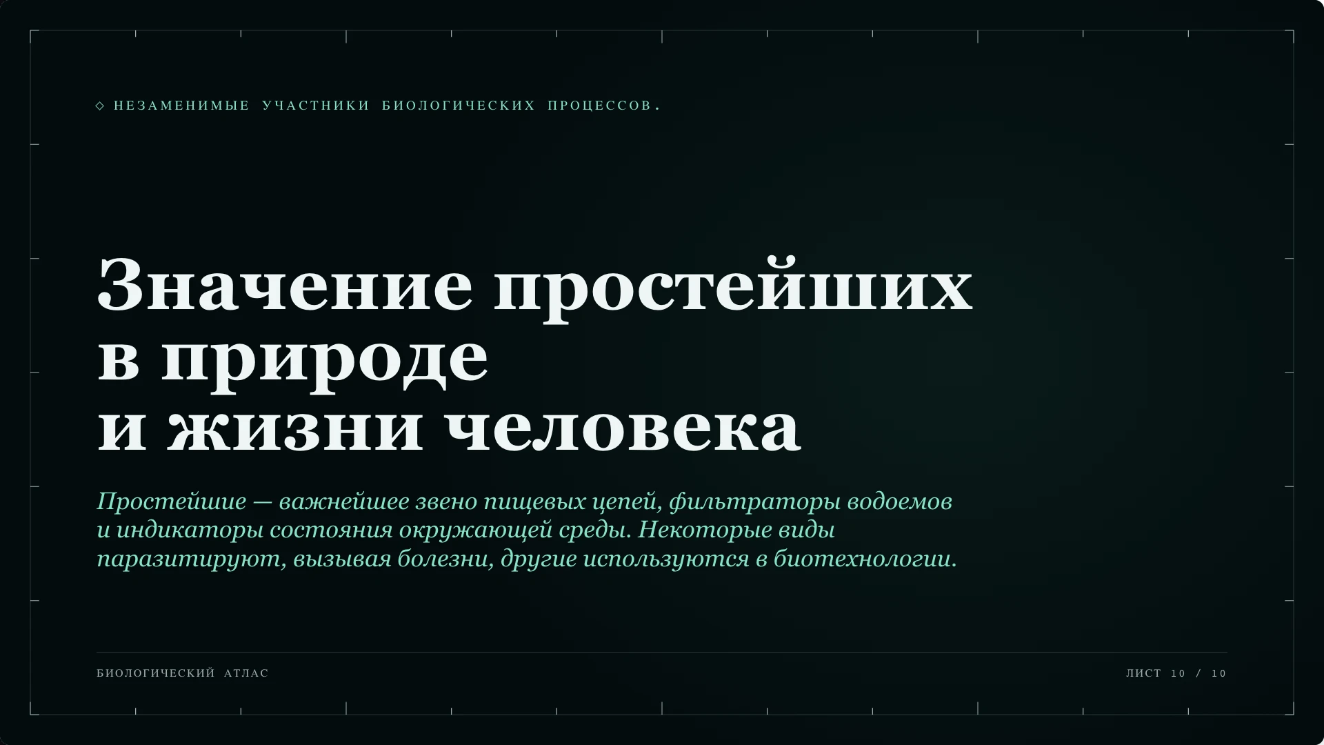 Слайд 10 «Значение простейших в природе и жизни человека» из презентации «Простейшие».