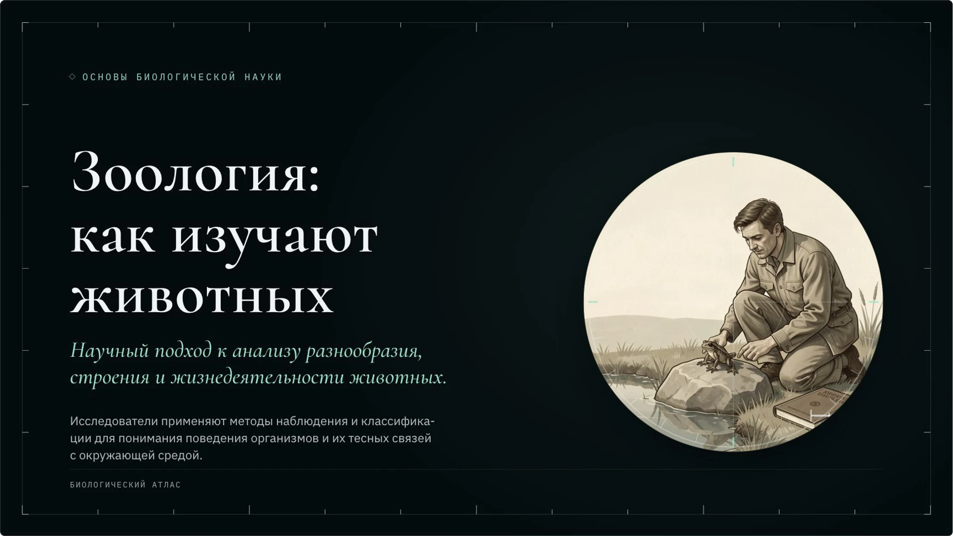 Обложка: Зоология: как изучают животных