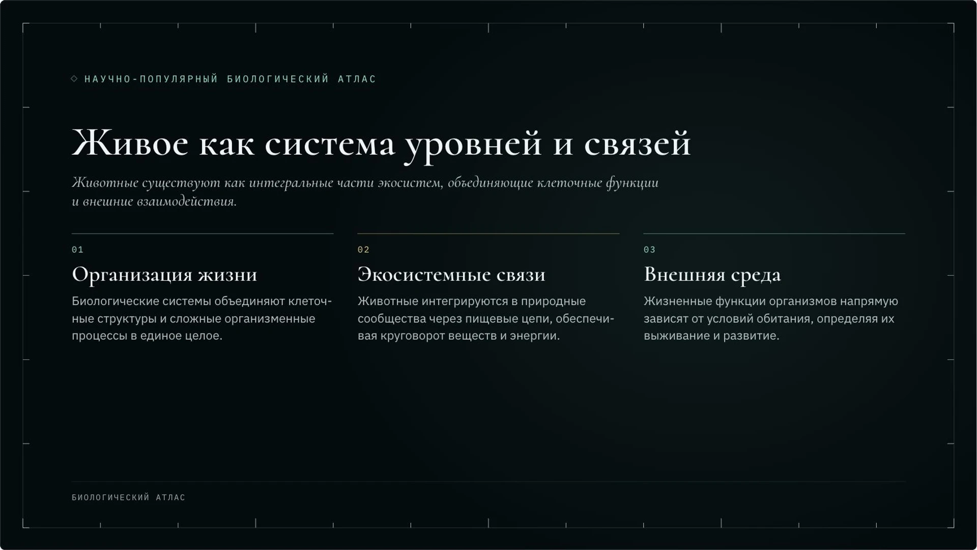 Слайд 2 «Живое как система уровней и связей» из презентации «Зоология: как изучают животных».