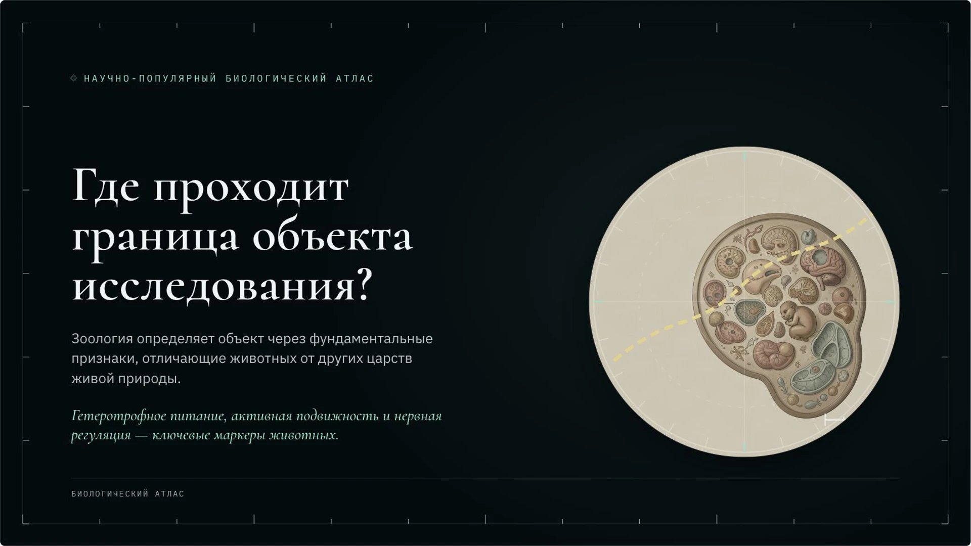 Слайд 3 «Где проходит граница объекта исследования?» из презентации «Зоология: как изучают животных».