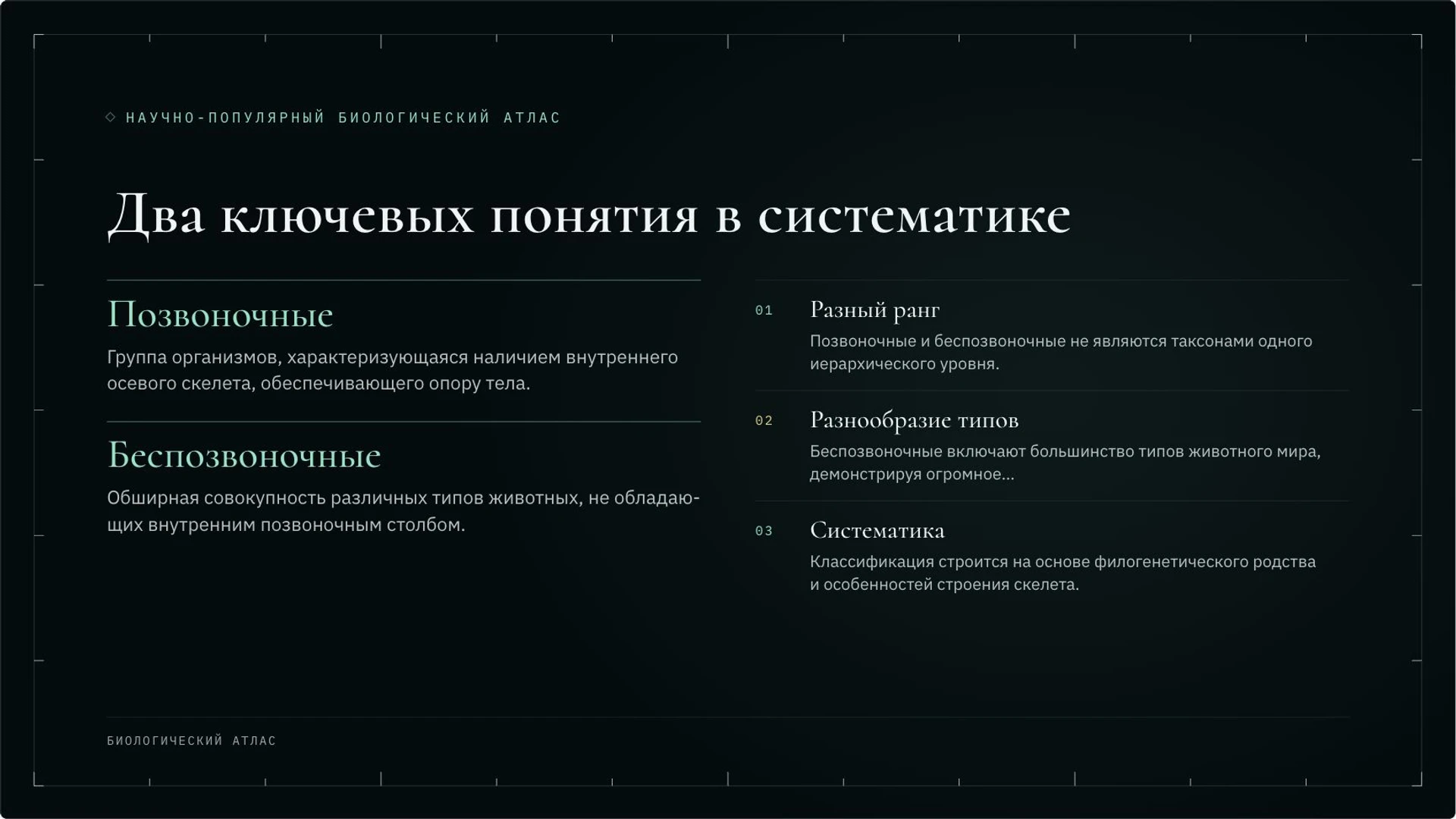Слайд 4 «Два ключевых понятия в систематике» из презентации «Зоология: как изучают животных».