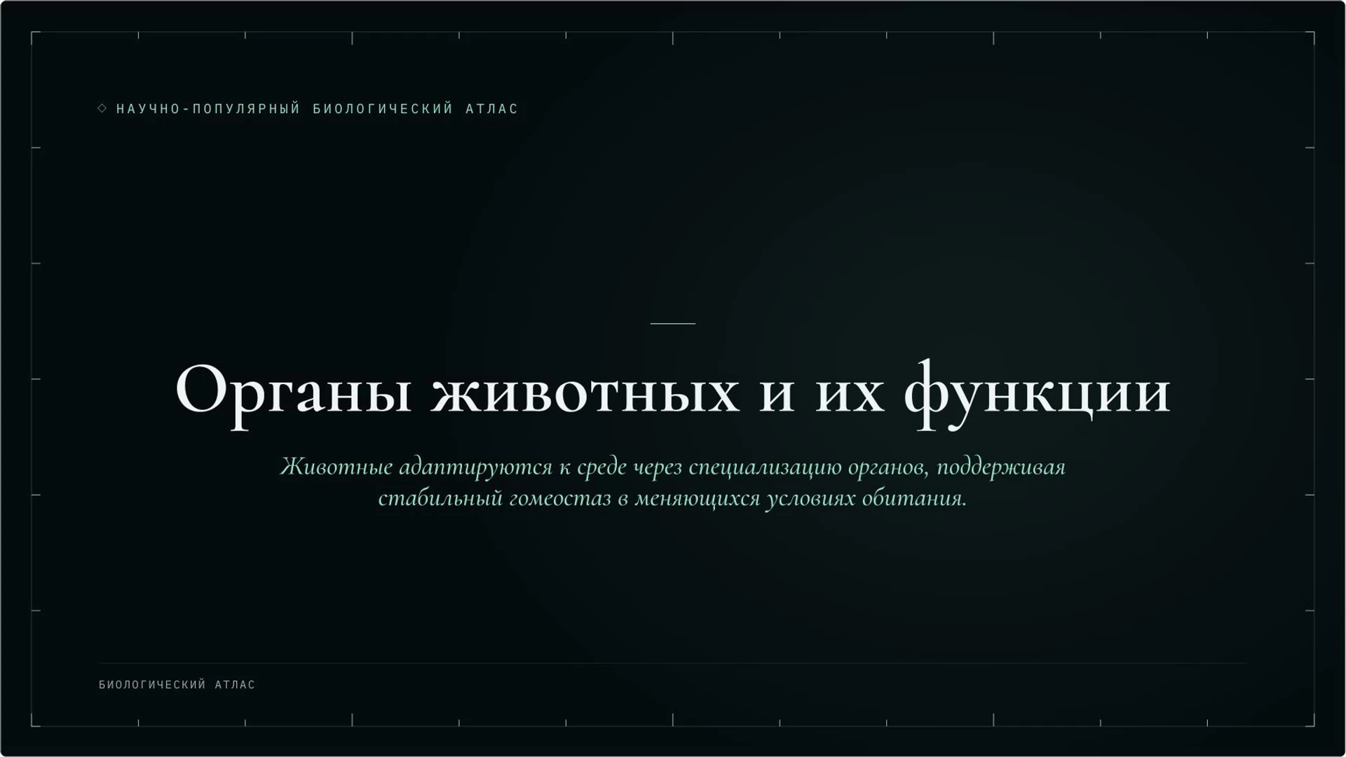 Слайд 5 «Органы животных и их функции» из презентации «Зоология: как изучают животных».