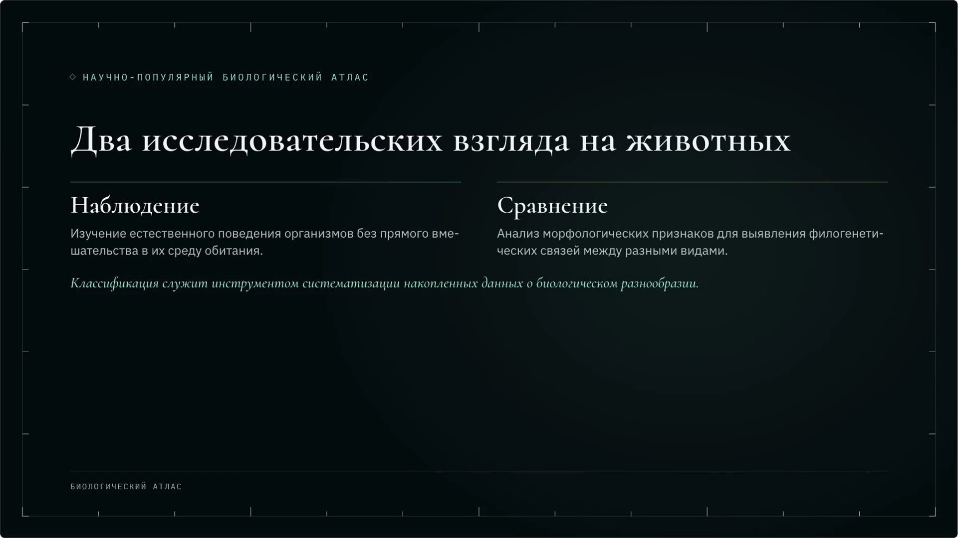 Слайд 7 «Два исследовательских взгляда на животных» из презентации «Зоология: как изучают животных».