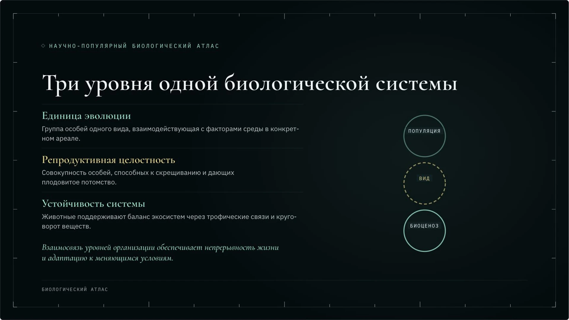 Слайд 9 «Три уровня одной биологической системы» из презентации «Зоология: как изучают животных».