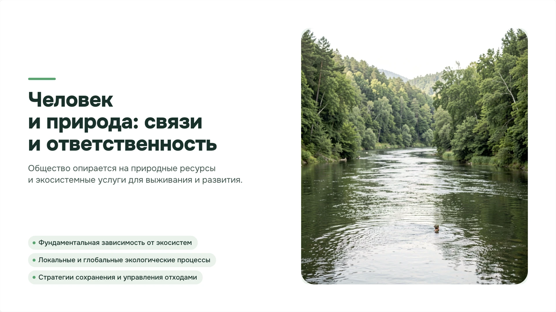 Обложка: Человек и природа: связи и ответственность