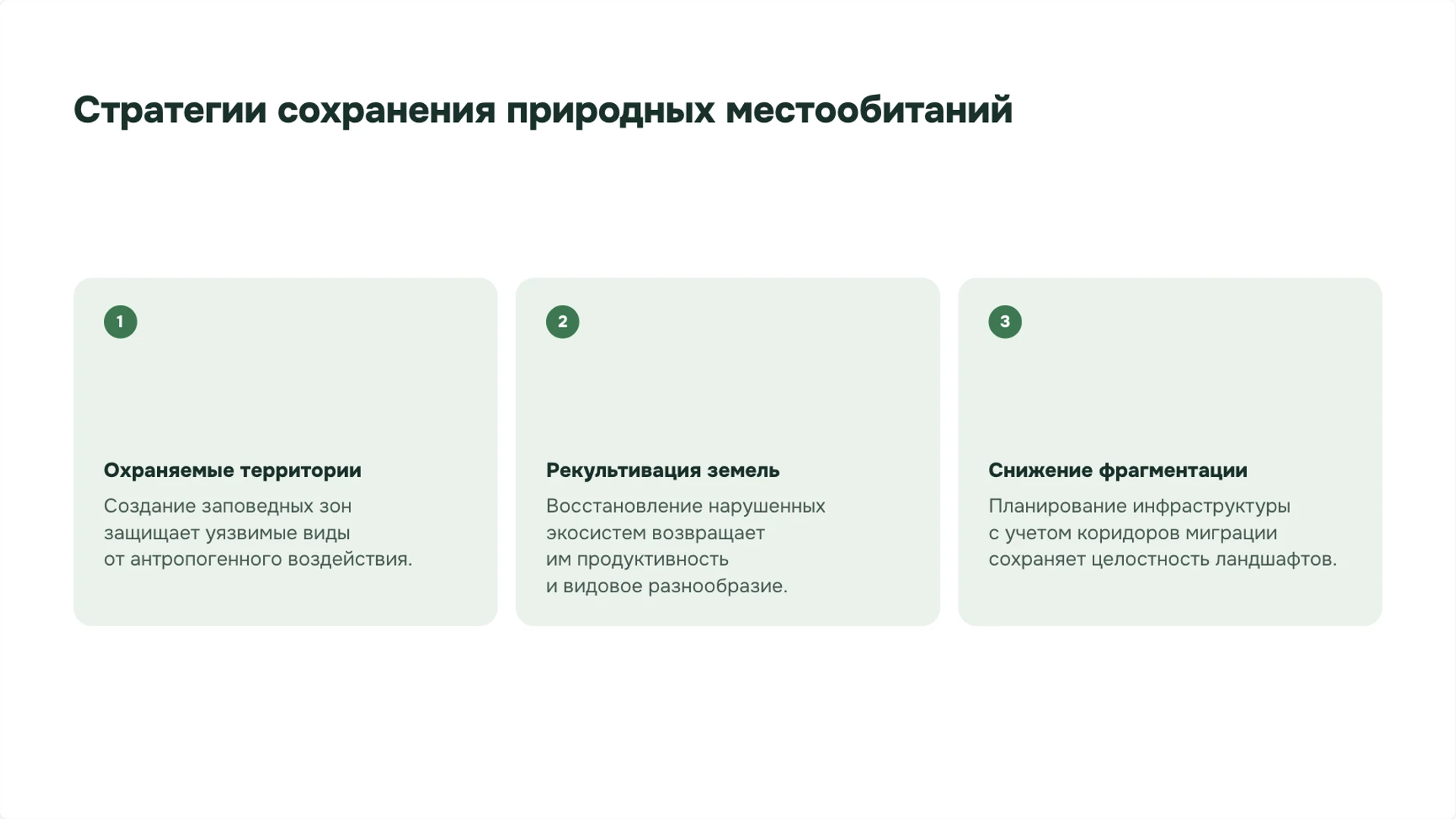 Слайд 6 «Стратегии сохранения природных местообитаний» из презентации «Человек и природа: связи и ответственность».